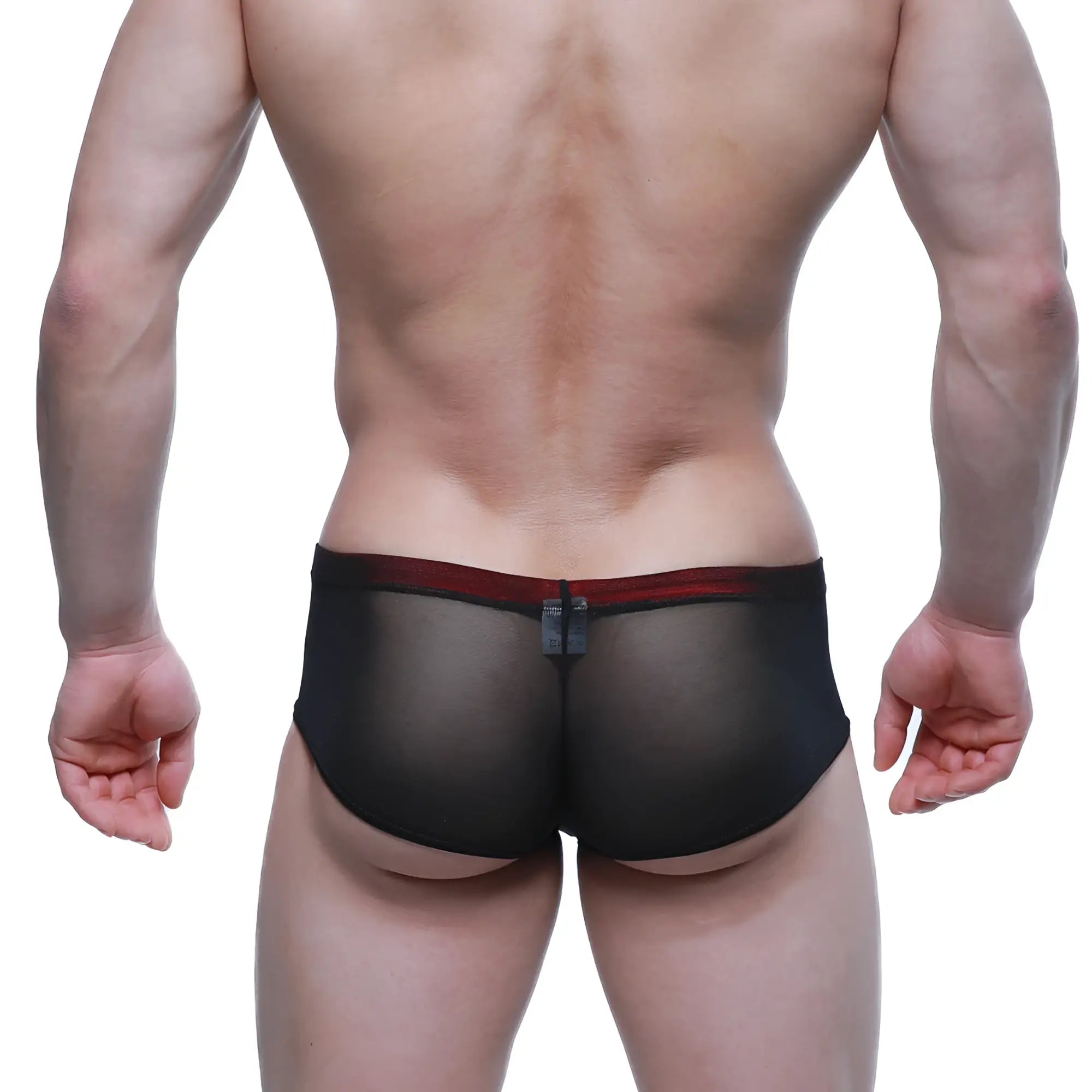 MetroMaleWear Cheek Patron 2028-71 black sheer mesh briefs with contrasting red waistband for stylish comfort