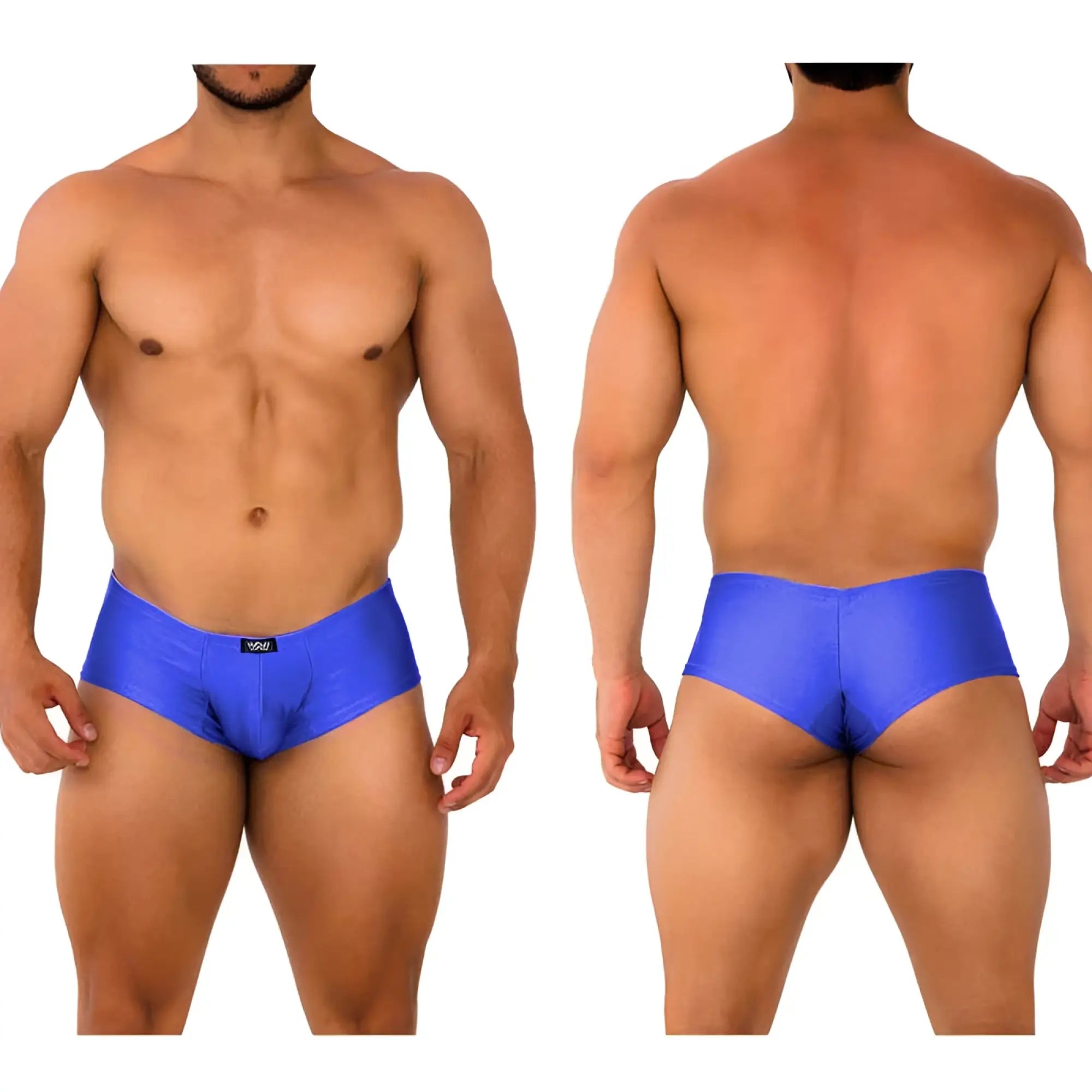 Vibrant blue shiny satin fabric briefs with small black metro male wear logo on waistband in royal blue 2028-18