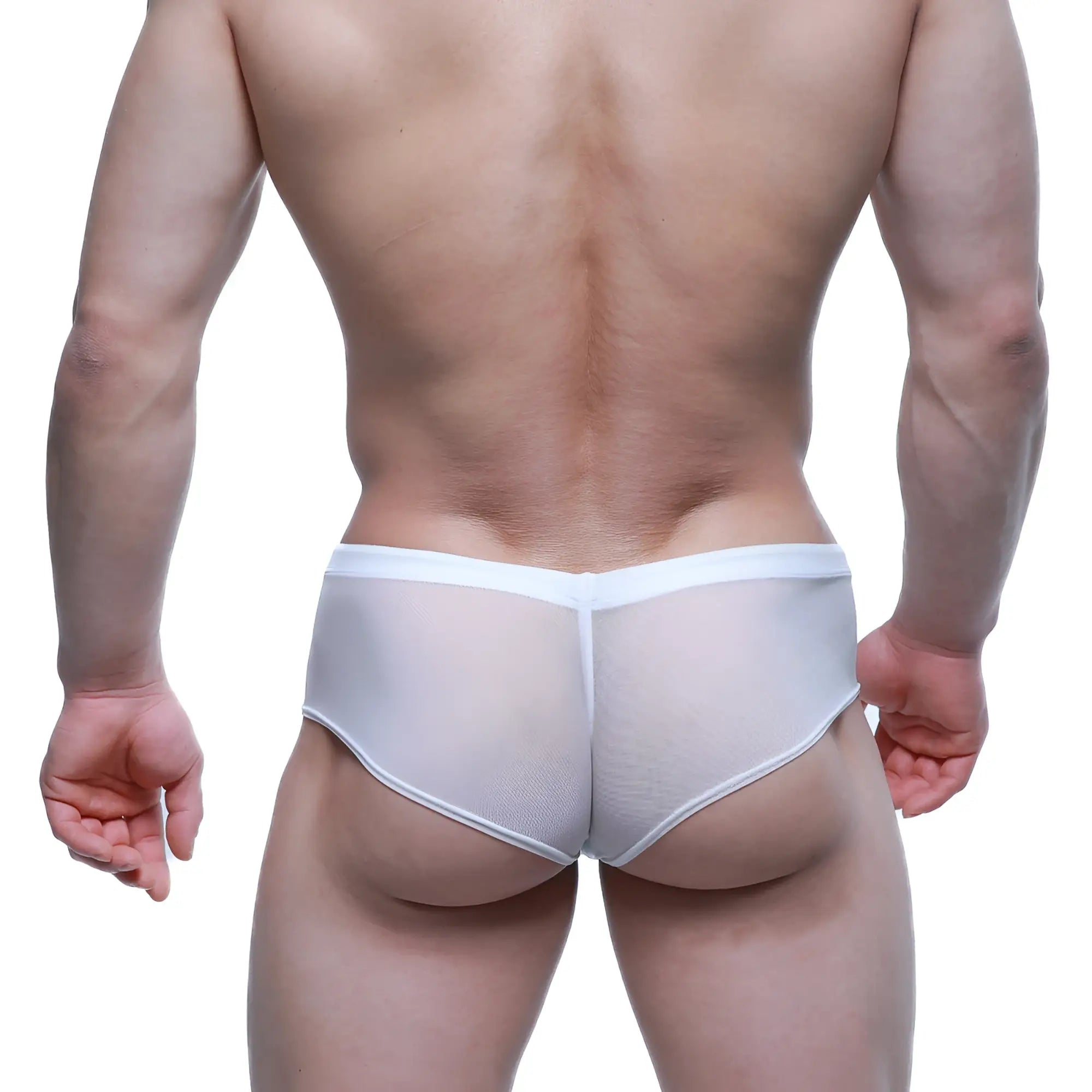 White mesh briefs with a smooth seamless design from MetroMaleWear Cheek white mesh 2028-69 collection