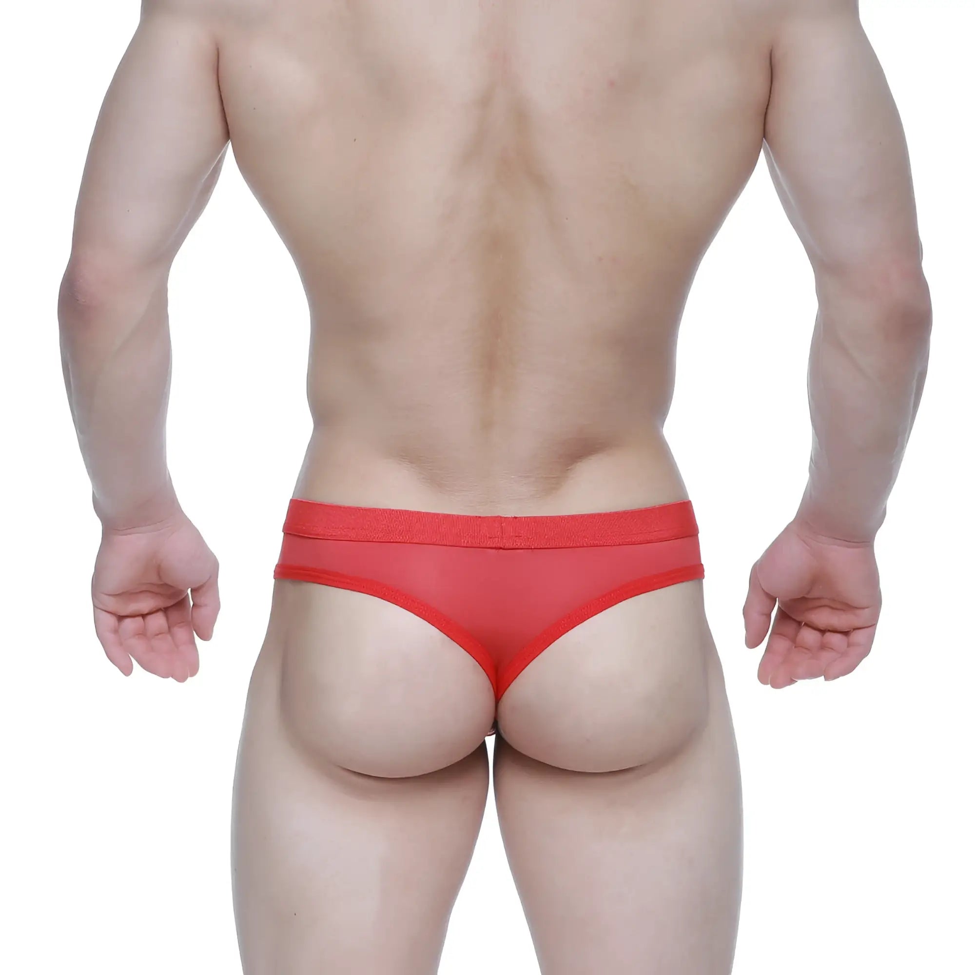 Metro male wear eterna thong red 3722-12 sheer red mesh briefs with solid red waistband front view