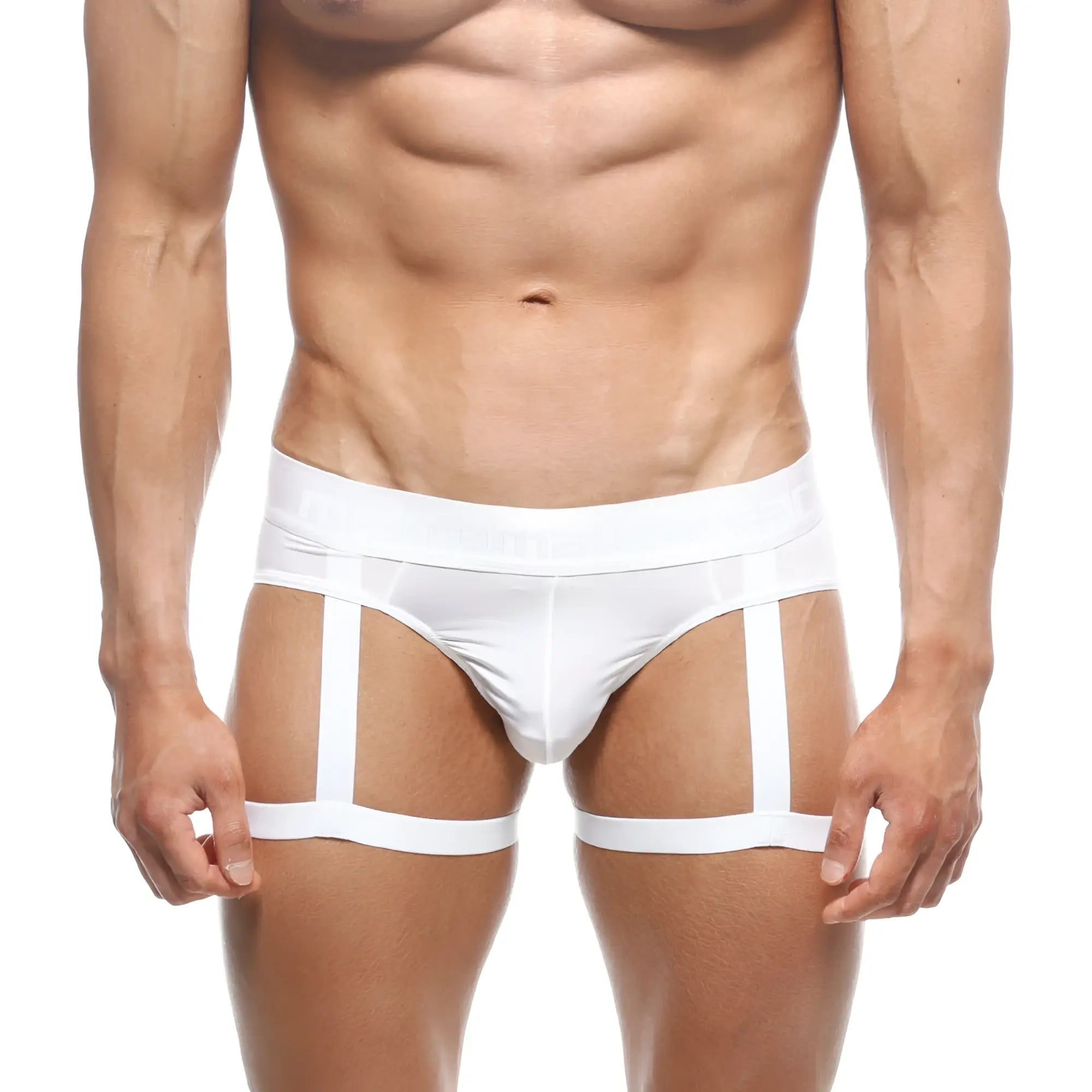 White mens briefs metroMalewear garter hip brief 5103-22 with sheer mesh panel and three vertical straps in white