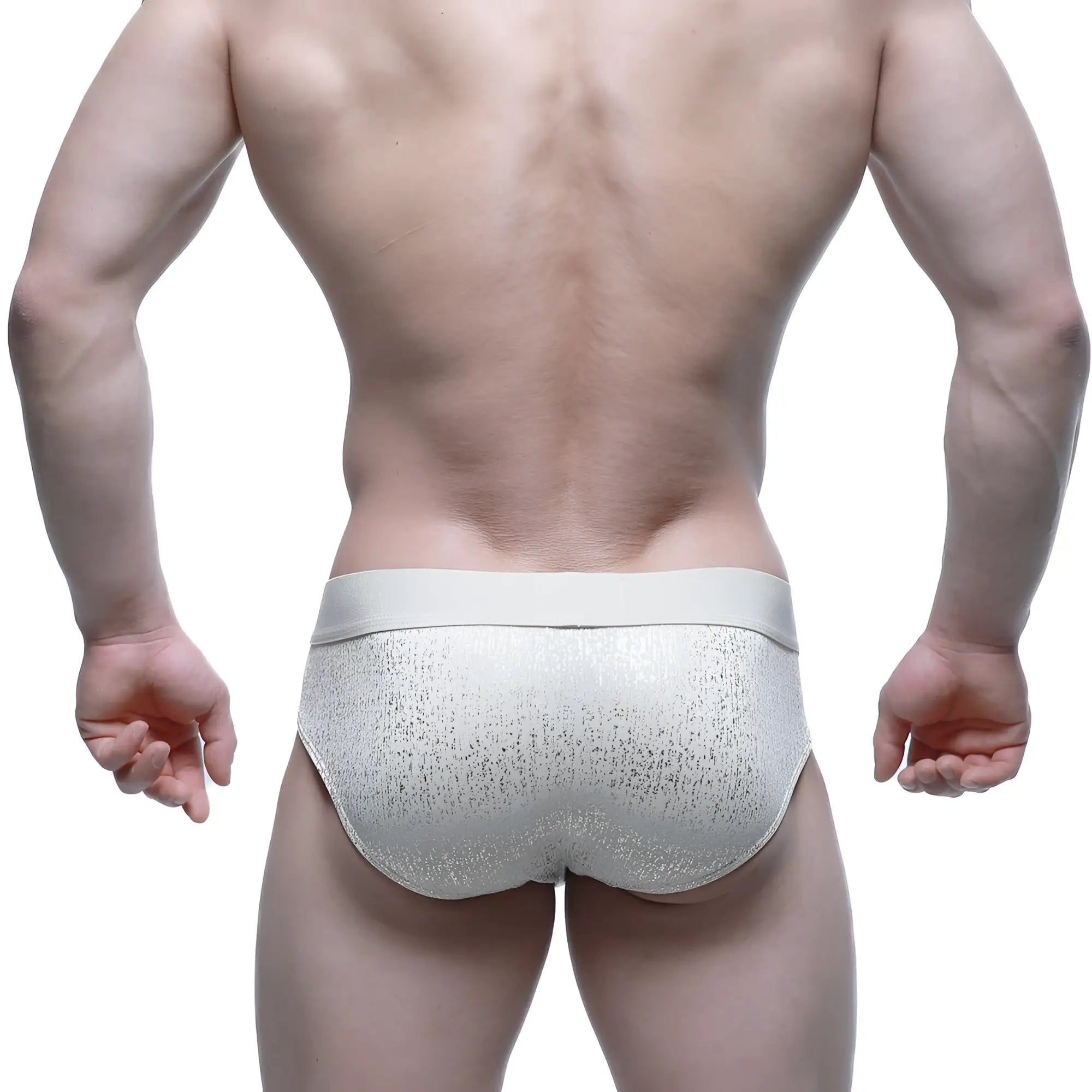 Silver glitter textured briefs with a solid light gray waistband from MetroMaleWear Gloria Brief 5003-57