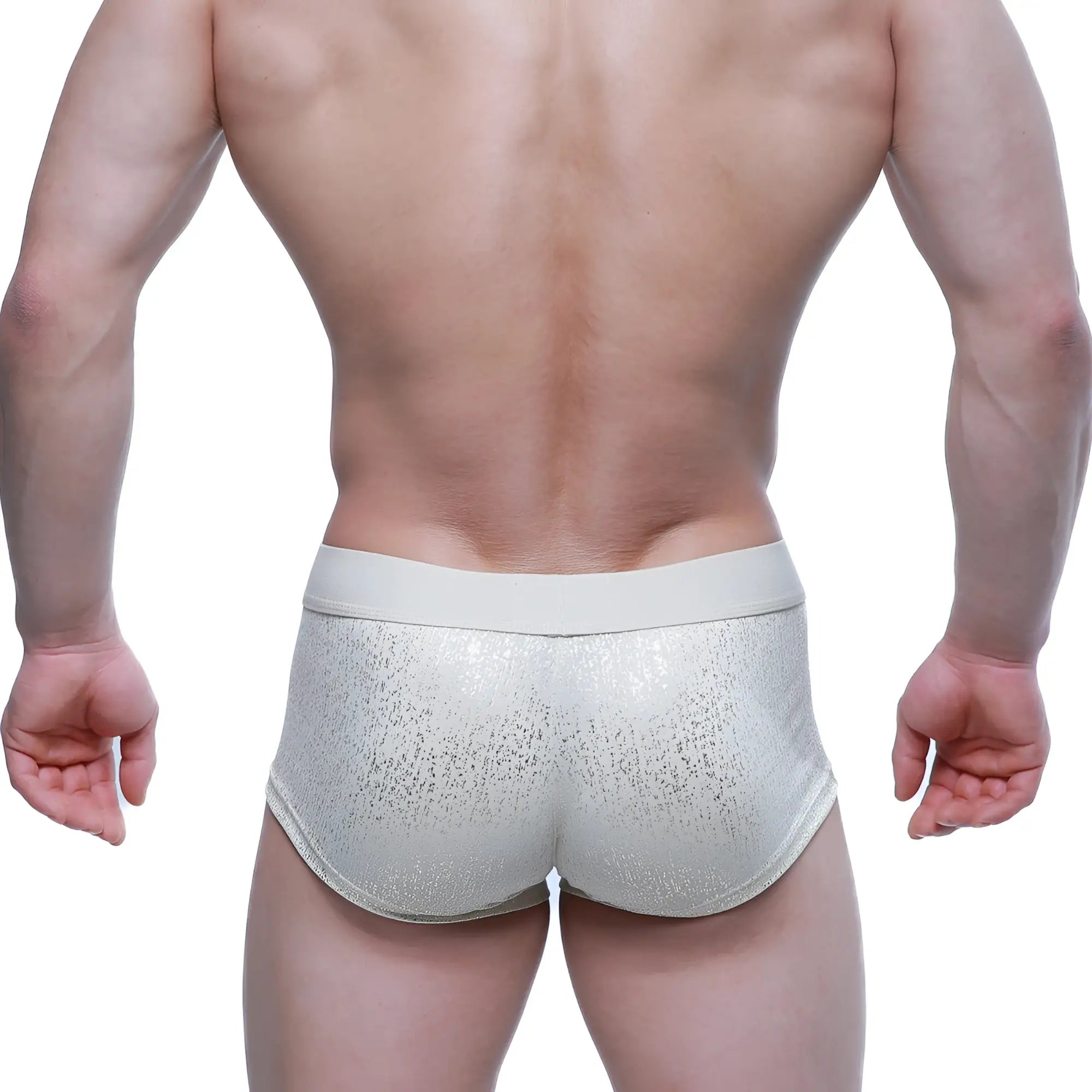 MetroMaleWear Gloria short boxer silver glittery briefs with solid light gray waistband front view