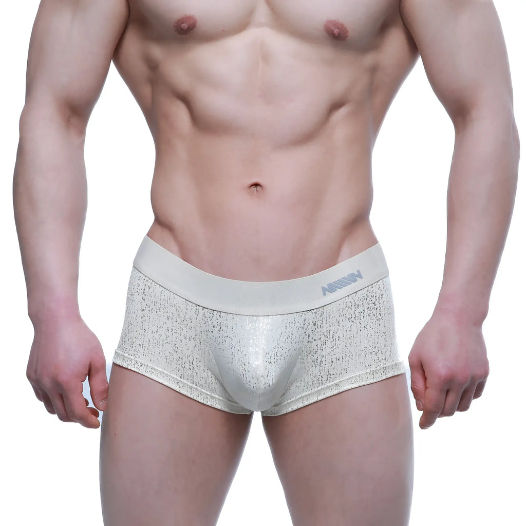 Silver metallic textured briefs with subtle shimmer and branded waistband metroMalewear gloria short boxer 2026-57 front view