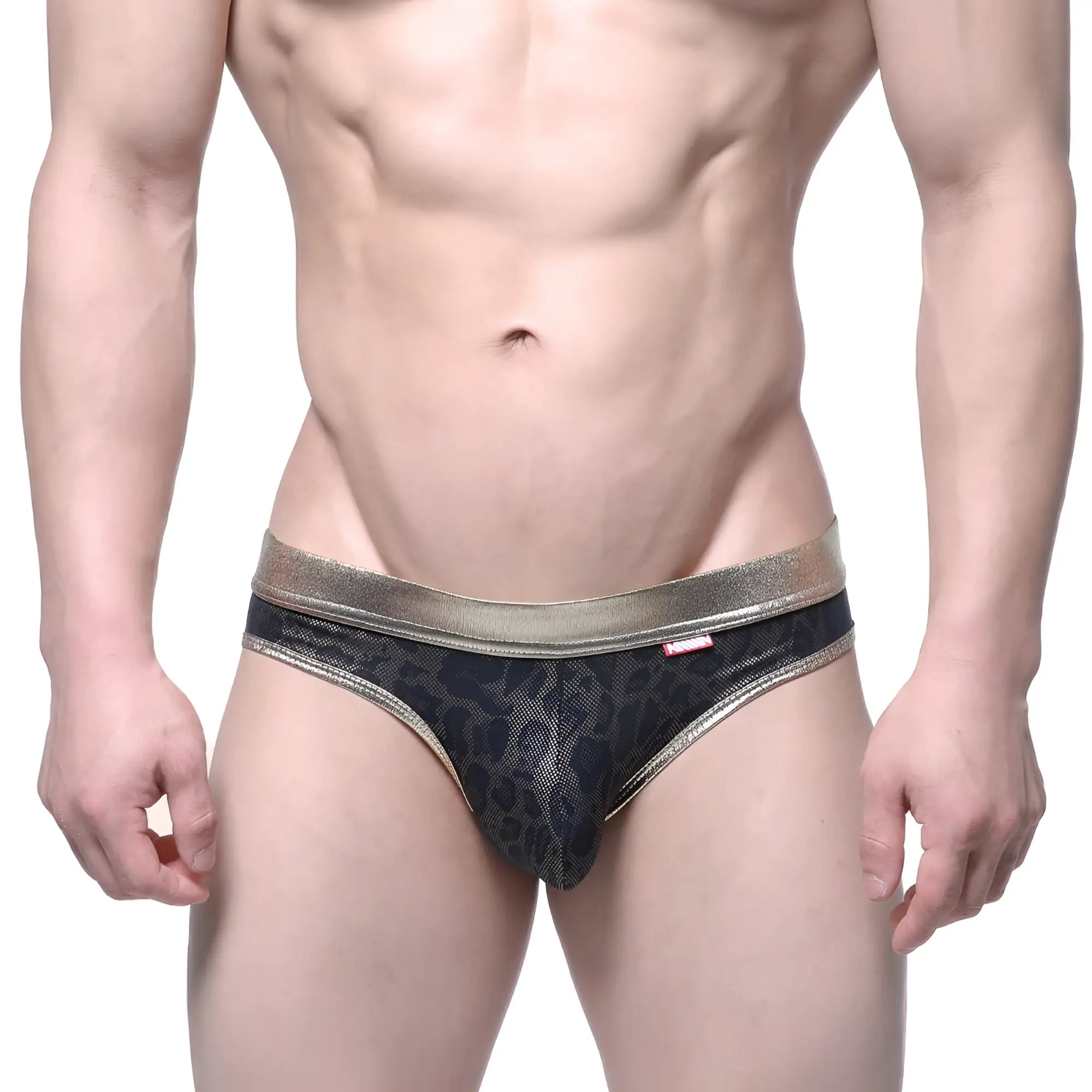 Metro malewear gloss bikini gold 2803-50 black leopard print mesh briefs with metallic gold waistband front view