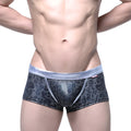 MetroMaleWear gloss trunk silver 2026-79 black leopard print mesh briefs with silver velvet waistband