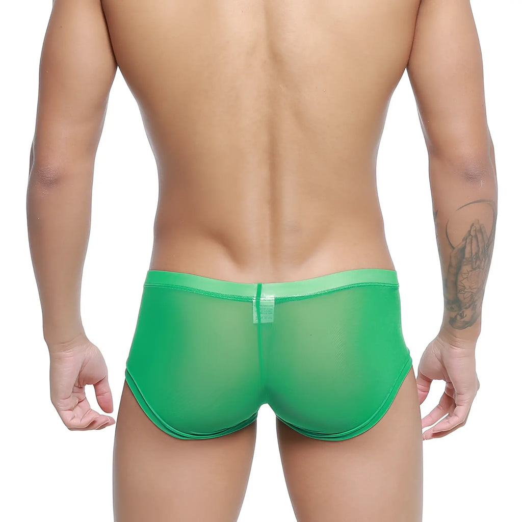 MetroMaleWear Hierba Trunk 2125-17 green sheer mesh briefs with solid green waistband for comfortable wear