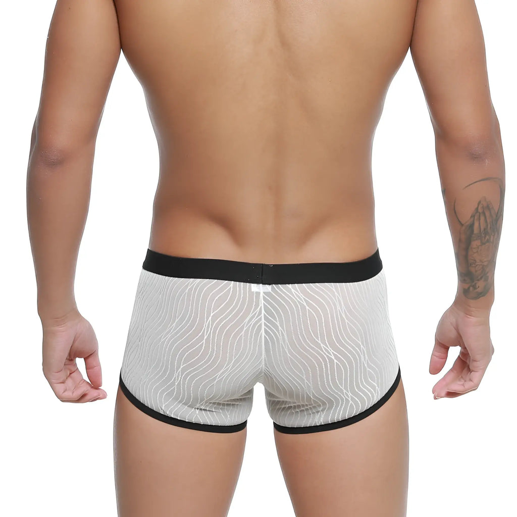 MetroMaleWear Iberico trunk ivory 2127-70 sheer white boxer briefs with black trim and wavy line pattern