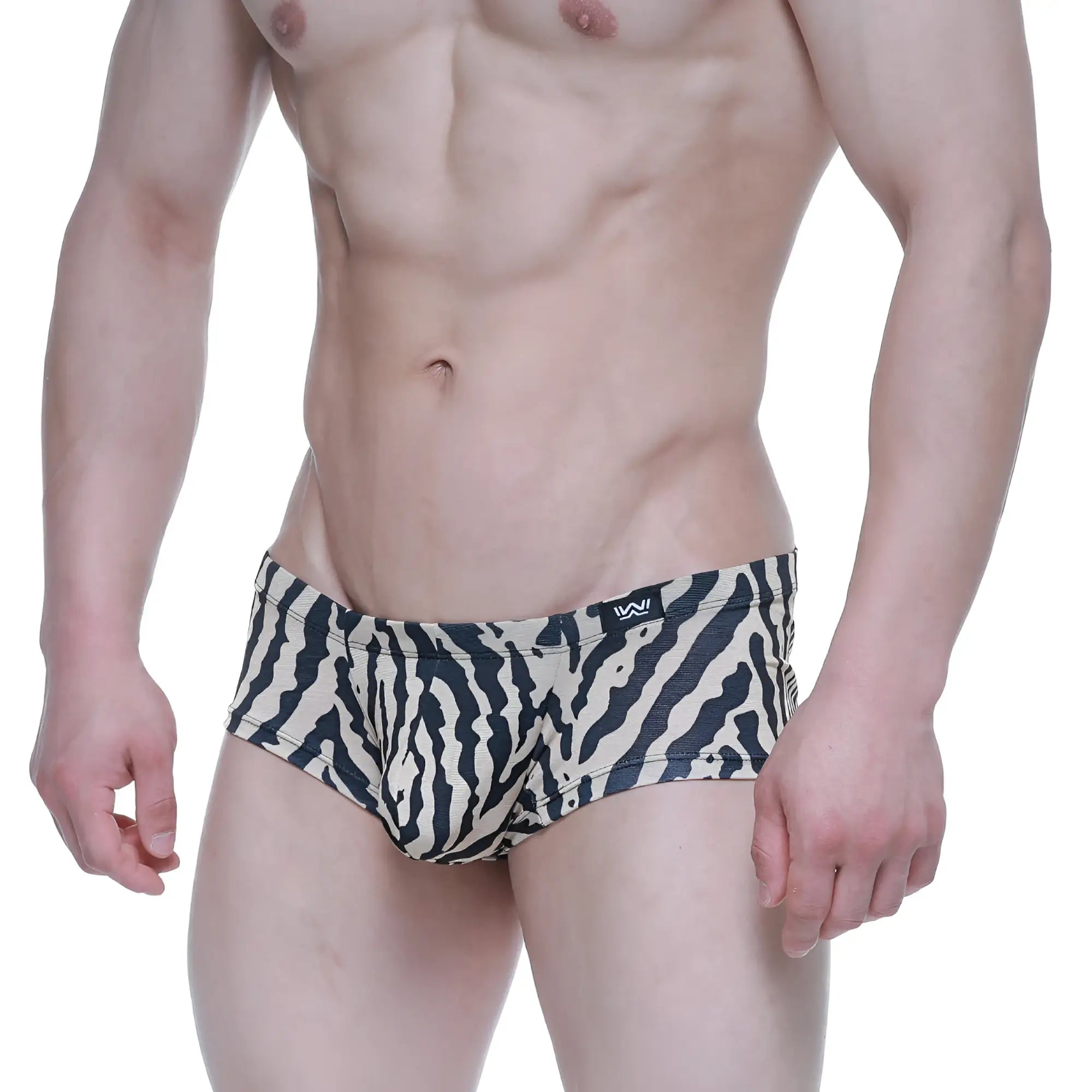 MetroMalewear leopard trunk 2125-69 black and white zebra-striped men’s briefs with small black logo on waistband