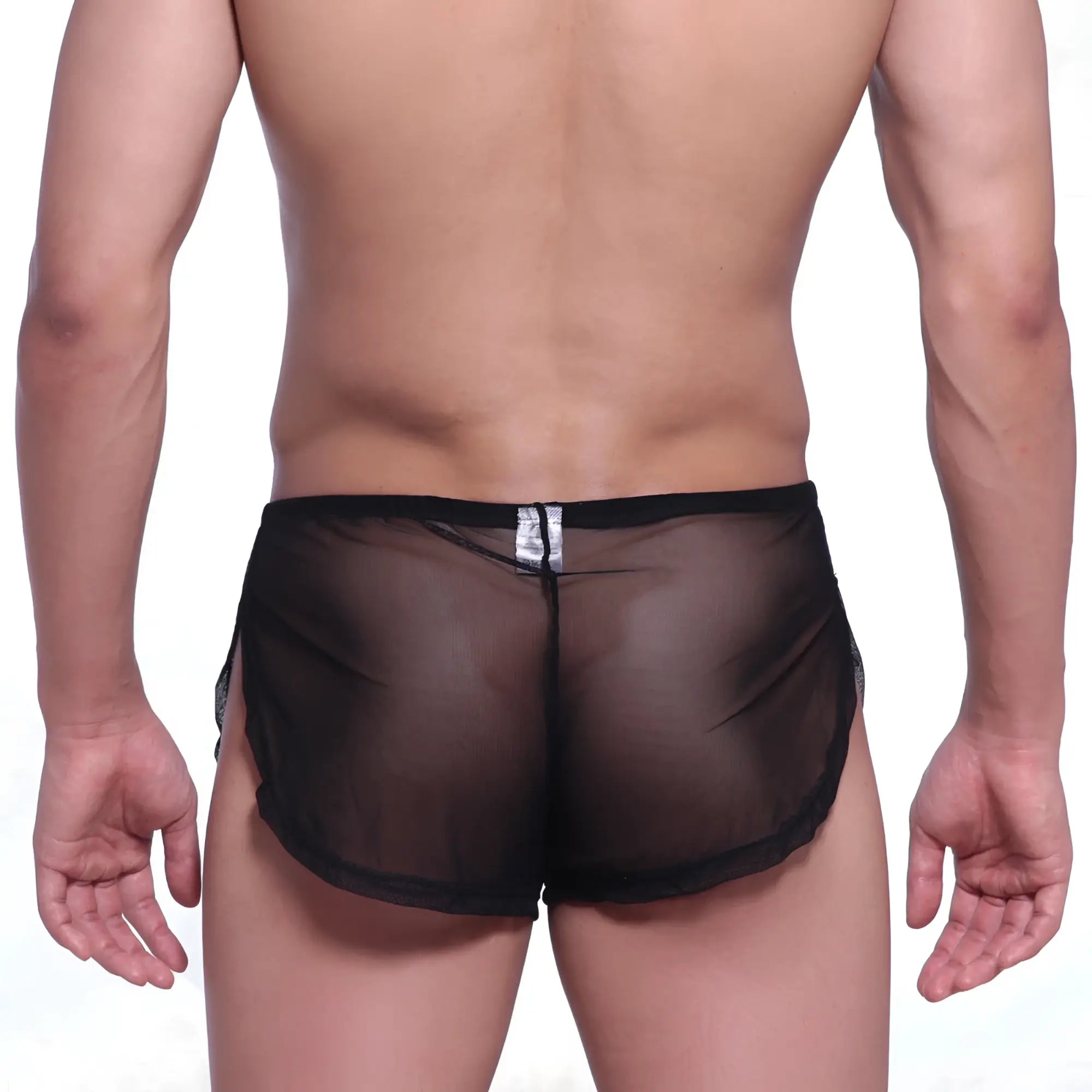 Black sheer mesh briefs with solid black waistband and side panels from metromalewear lounge split boxer 2008-71