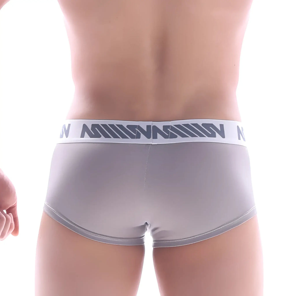 Gray men’s briefs with white elastic waistband featuring dark gray n logo pattern from metromalewear lux boxer beige 2026-51