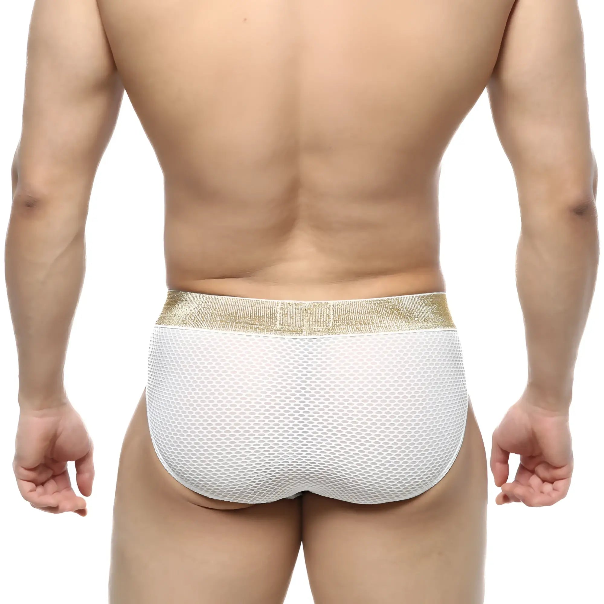 White mesh luxury hip briefs with a shimmering gold waistband from metromalewear model 5003-06