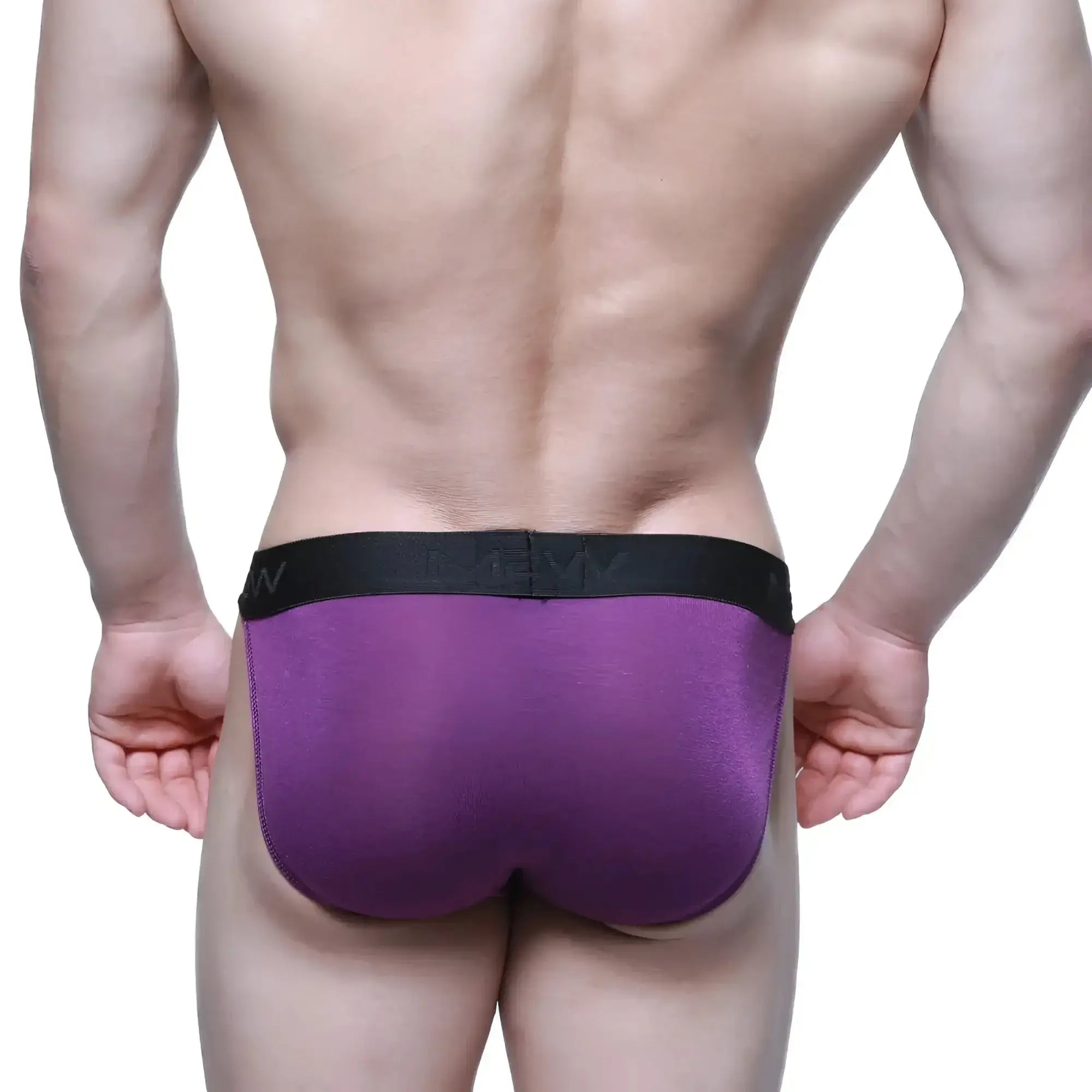 Purple athletic briefs with black elastic waistband metro malewear asian bikini grape 3004-19 front view