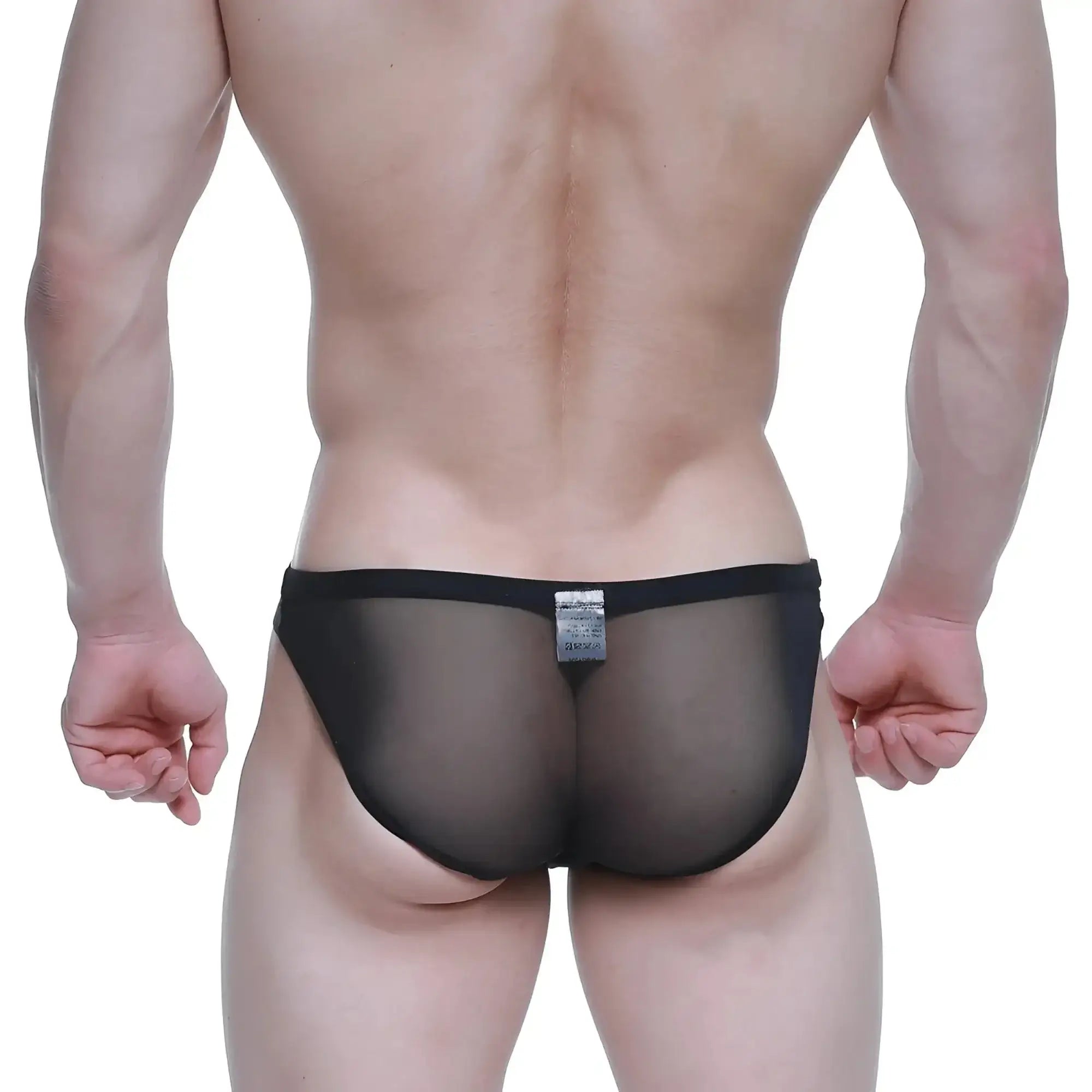 Black sheer mesh briefs with solid black waistband metro malewear brief 2.0 tull 3603 70 front view