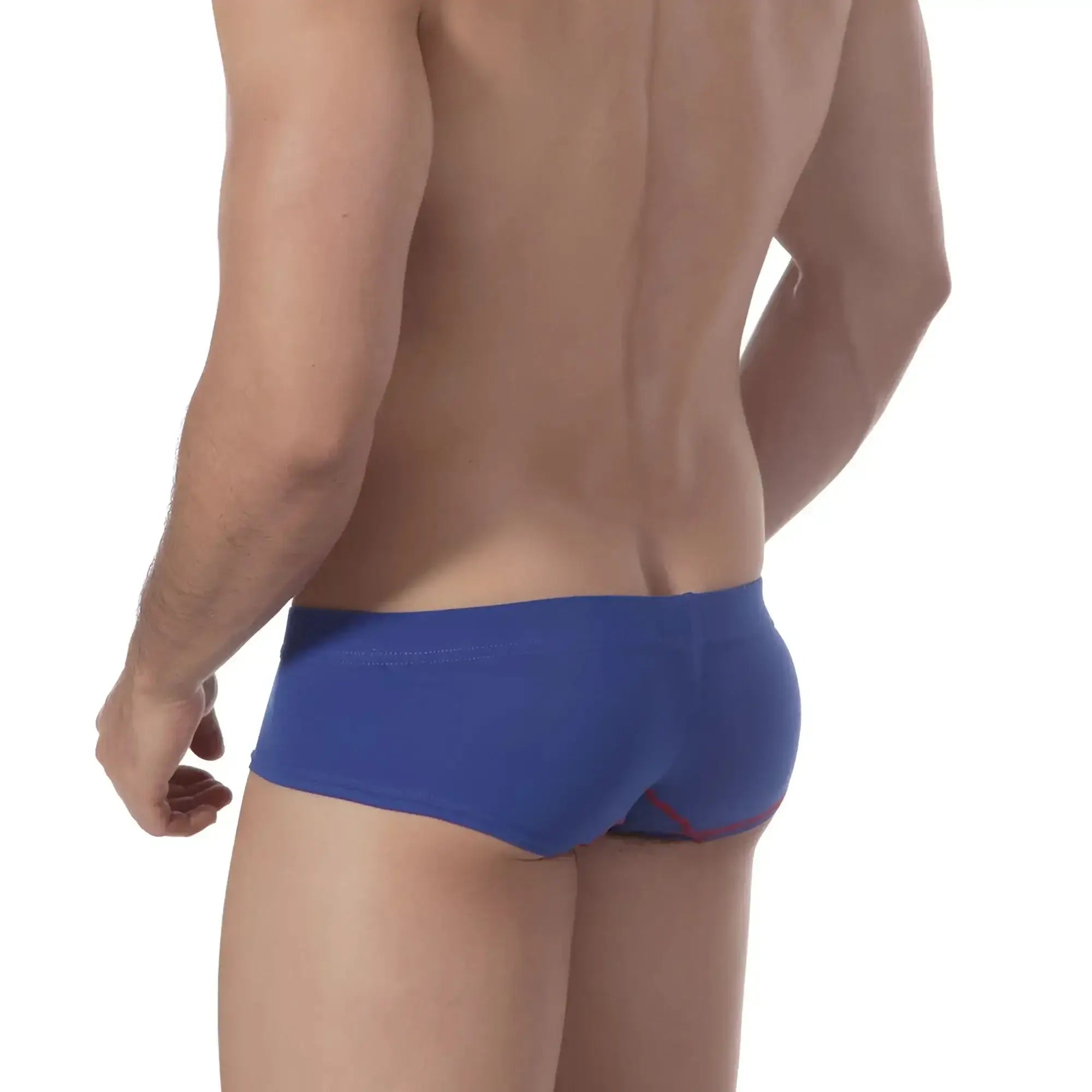 Blue metro malewear cotton punto royal 7003-18 men’s briefs with subtle red trim along side seam