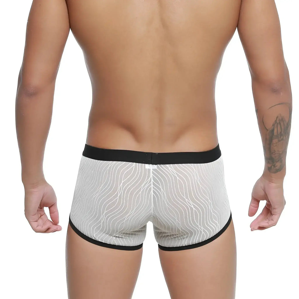 MetroMaleWear Iberico trunk ivory 2127-70 sheer white boxer briefs with black trim and wavy line pattern