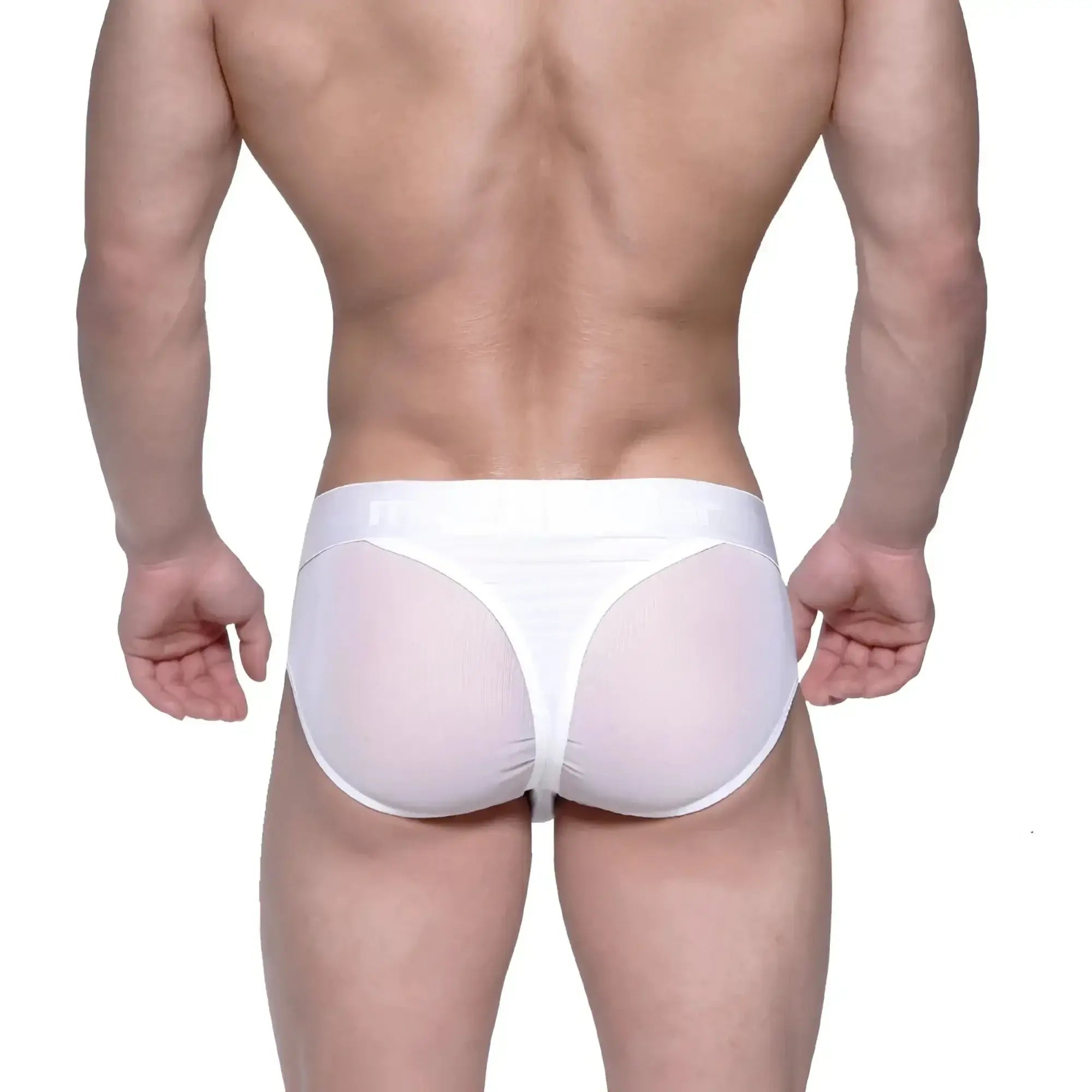 White mesh briefs with a solid white waistband from metroMalewear layered hip brief 5103-32