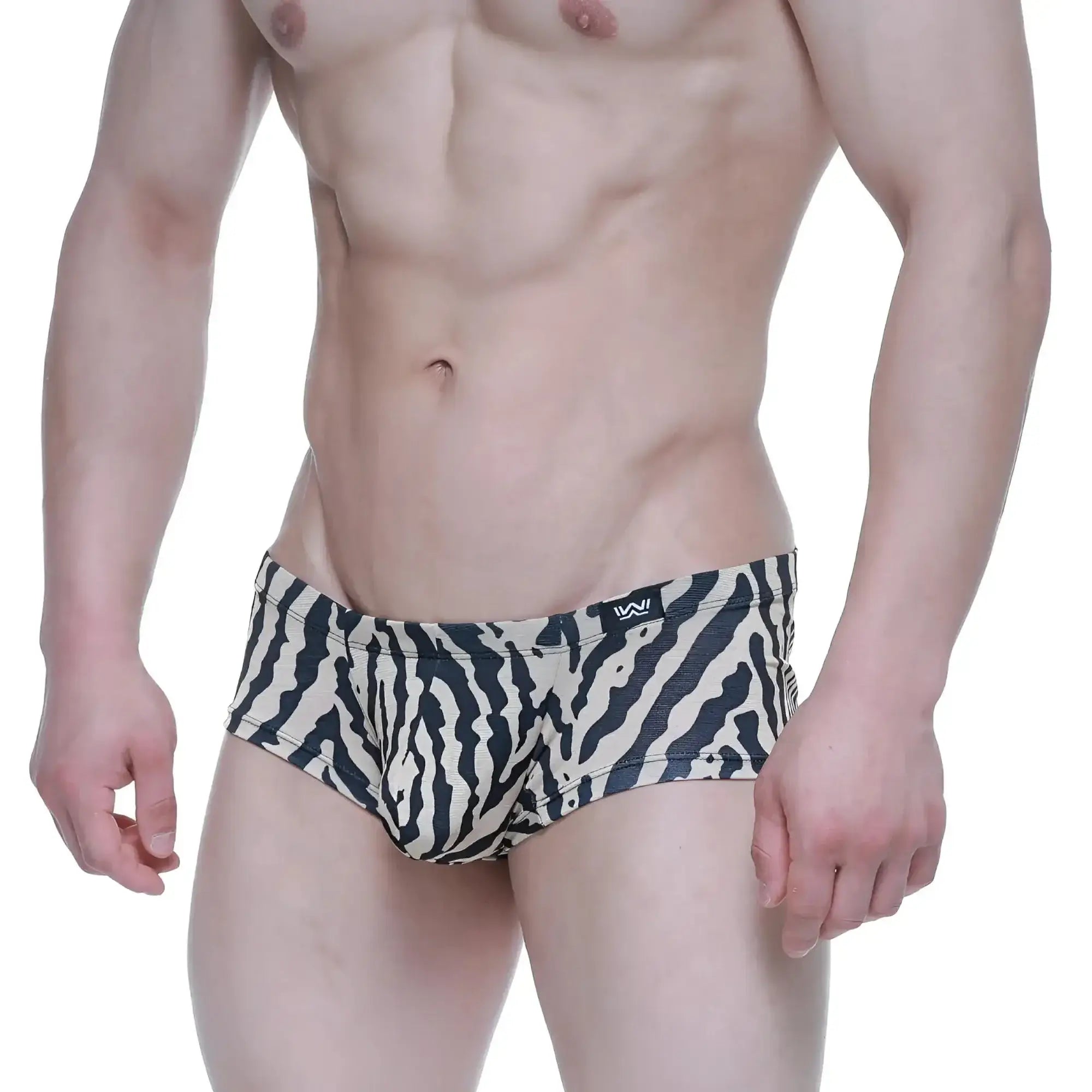 MetroMalewear leopard trunk 2125-69 black and white zebra-striped men’s briefs with small black logo on waistband