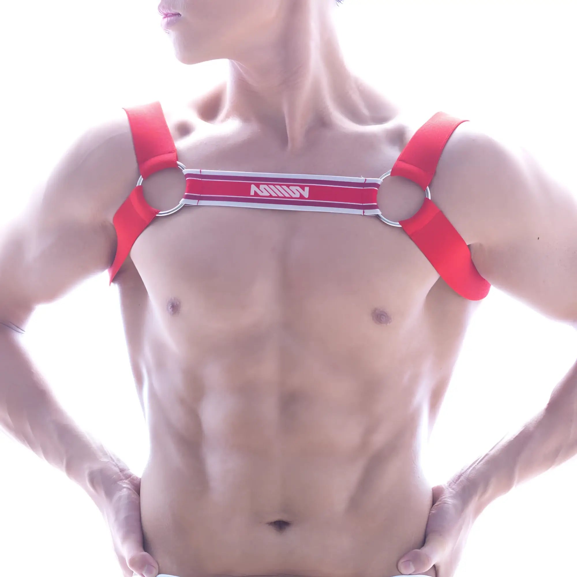 Red ashley harness by metromalewear in red with silver metal rings and white logo strip for stylish wear