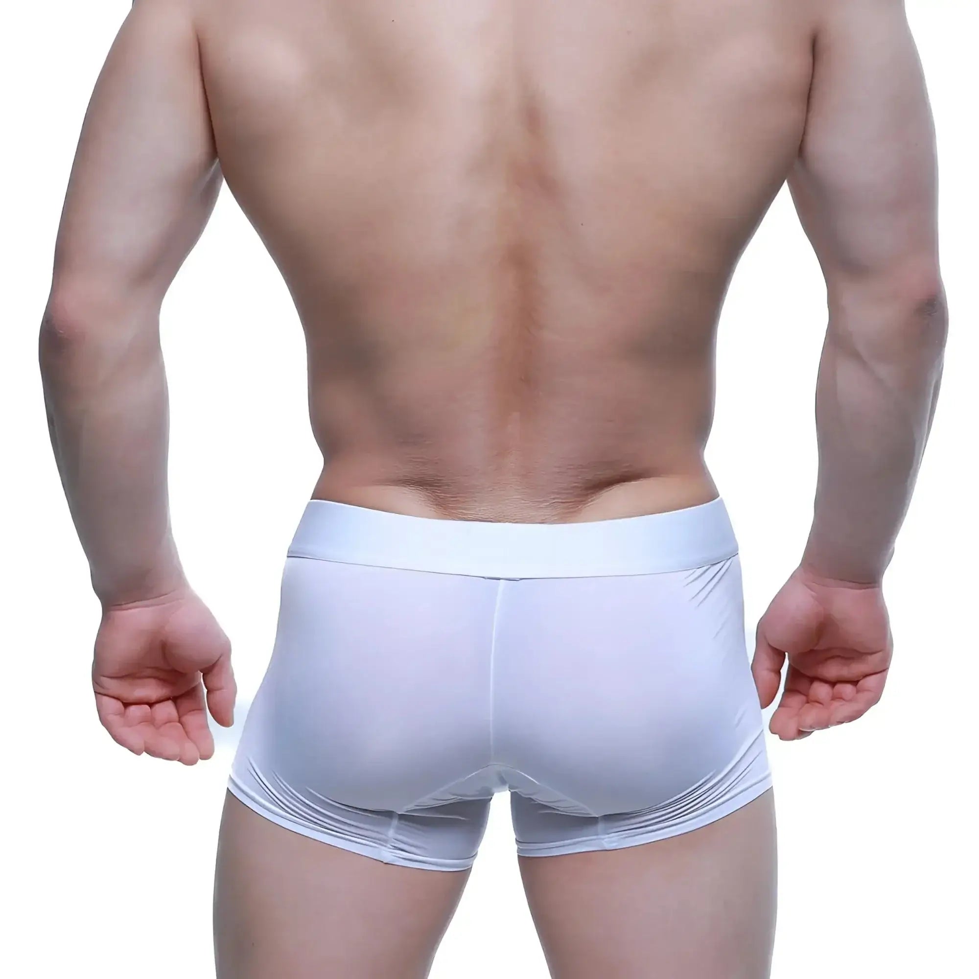 MetroMaleWear Maintenant boxer brief pure 2122-01 white form-fitting boxer briefs with smooth stretchy fabric