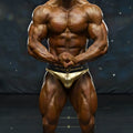 Gold metallic briefs with black waistband featuring metro muscle branding from MetroMaleWear Dorado muscle trunk 4700-24
