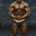Black and gold MetroMaleWear Samuel competition briefs with metallic lion emblem for bodybuilding events