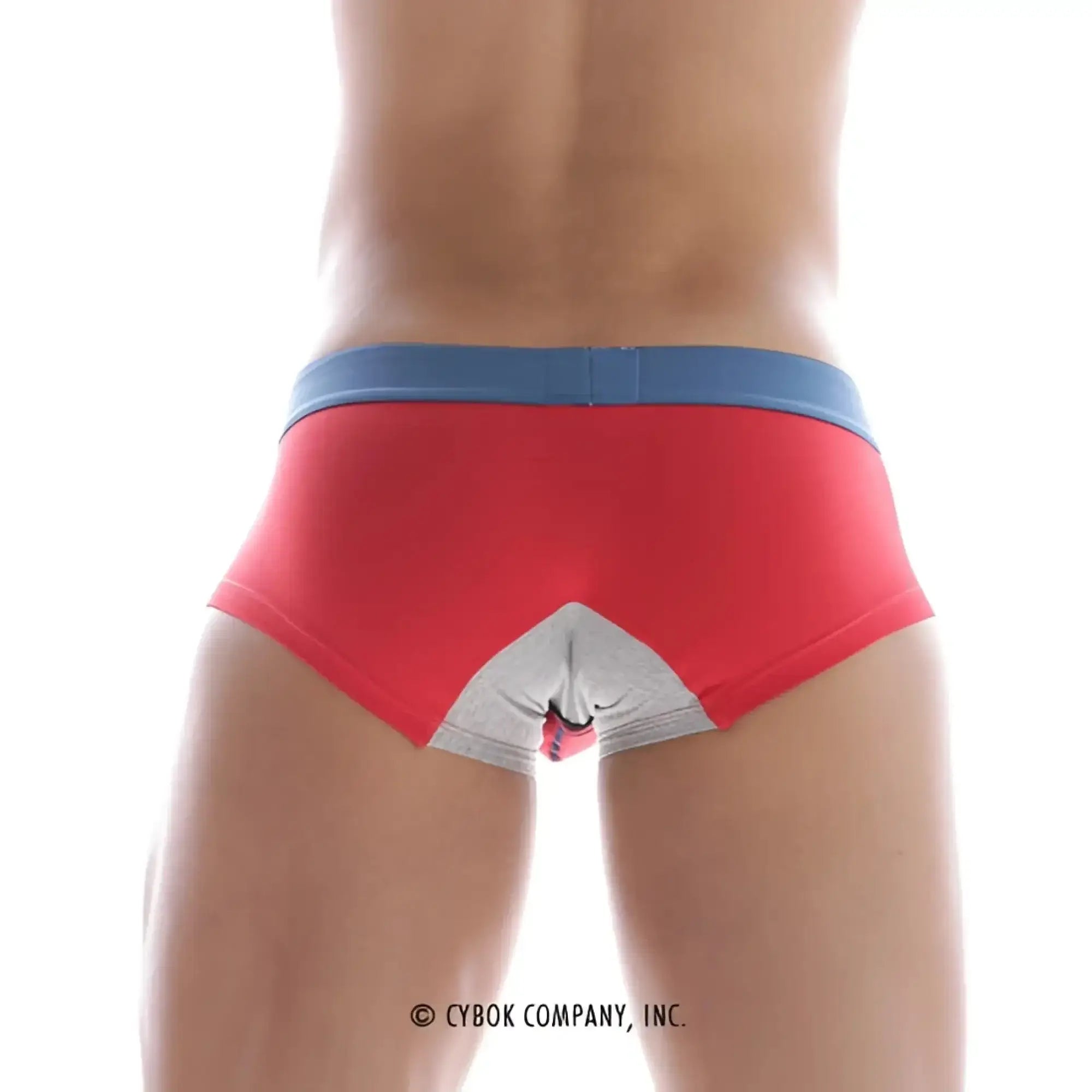 Back view of MetroMaleWear micro mini boxer red 7013-12 red briefs with blue waistband and white triangular design