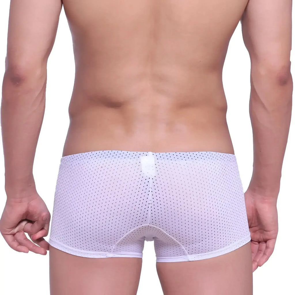 MetroMaleWear neon boxer white mesh briefs with subtle dot pattern and reinforced waistband front view