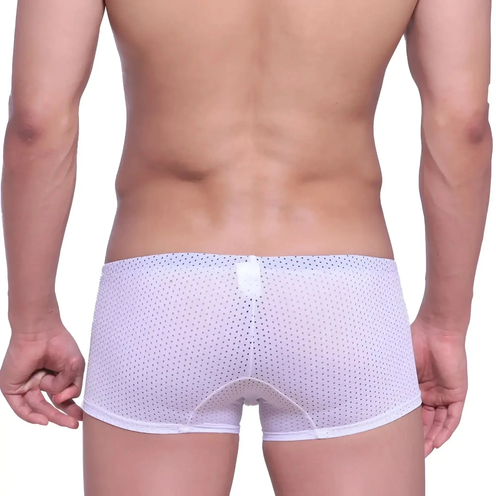 MetroMaleWear neon boxer white mesh briefs with subtle dot pattern and reinforced waistband front view