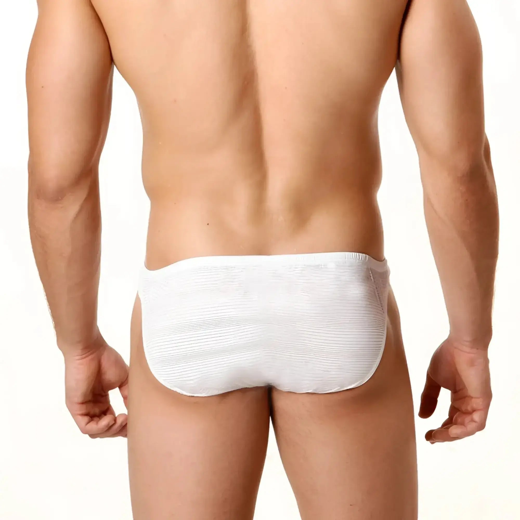 White textured briefs microfiber bikini sheer by MetroMaleWear perfect scene in white shown from the back side