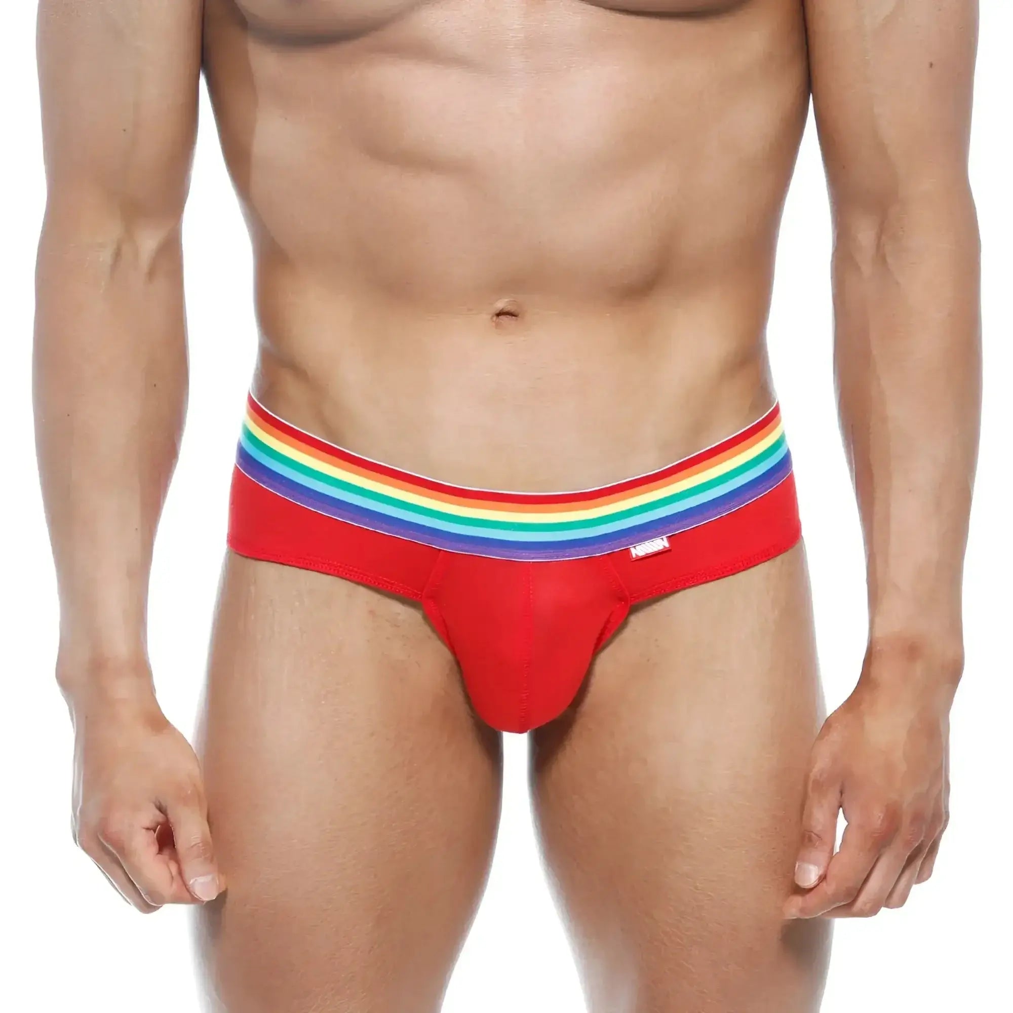 Red briefs with rainbow-striped waistband from metromalewear pride brief red 5006-r12 showcasing vibrant design