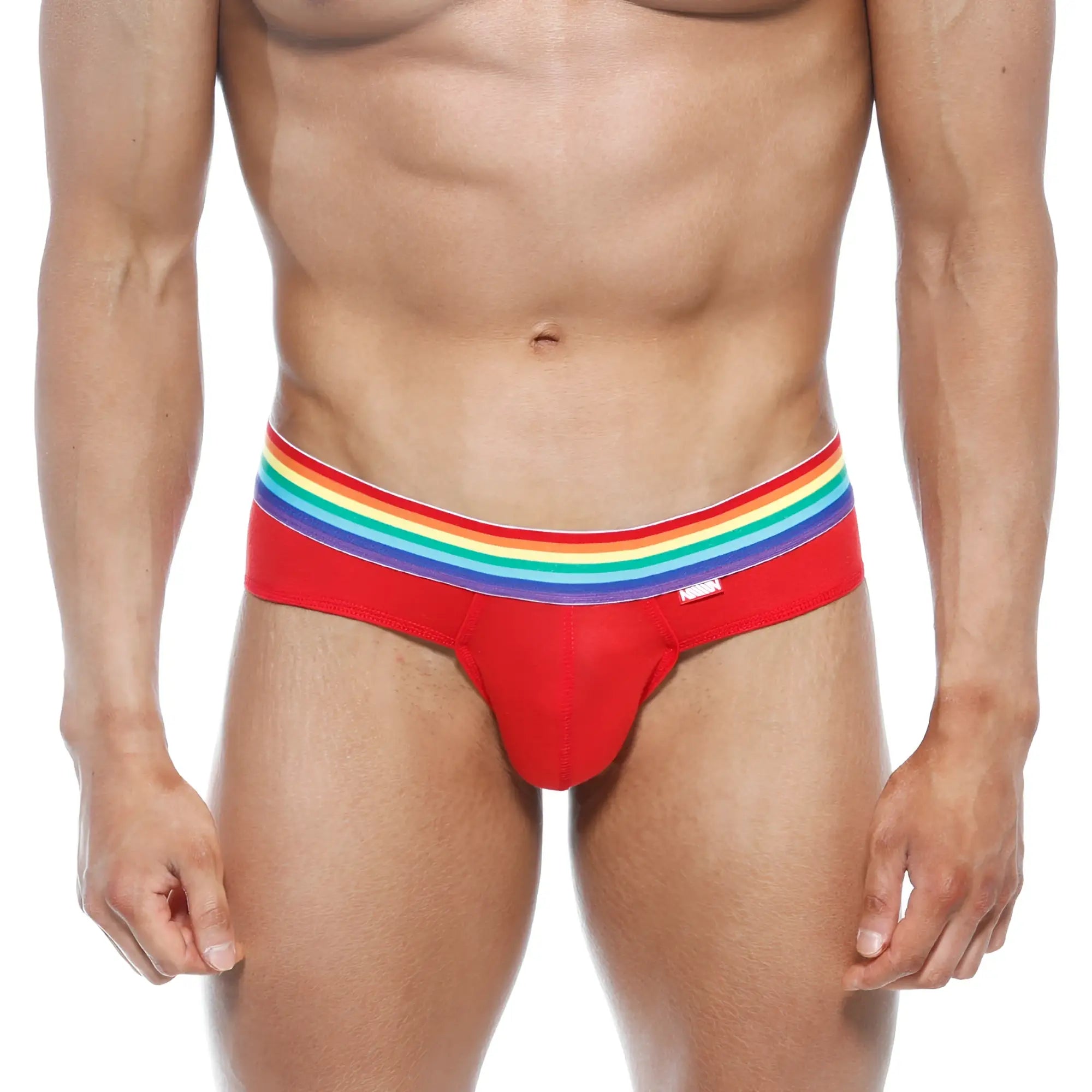 Red briefs with rainbow-striped waistband from metromalewear pride brief red 5006-r12 showcasing vibrant design