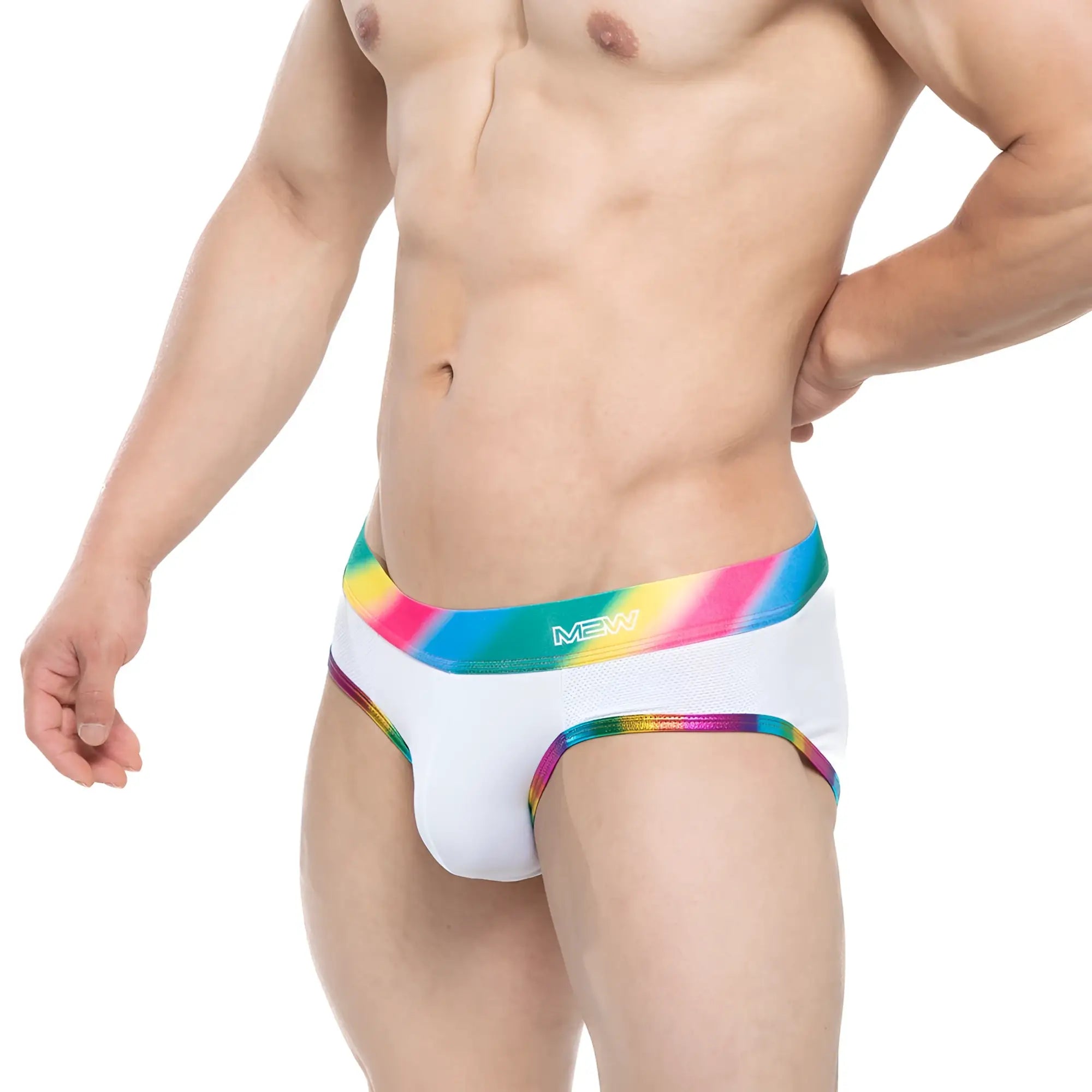 White men’s briefs MetroMaleWear pride brief 5203-57 with vibrant rainbow-striped elastic waistband and white mew logo