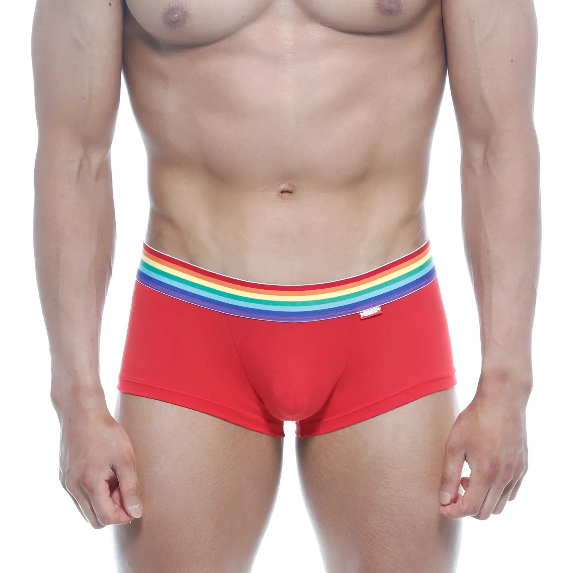 Red briefs metro malewear pride trunk 2026-r12 with rainbow-striped elastic waistband for comfortable wear