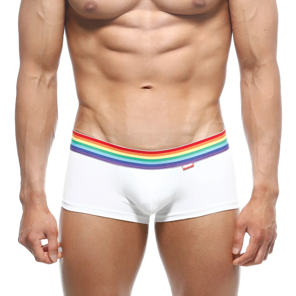White briefs with rainbow striped elastic waistband from metromalewear pride trunk white 2026-r00 collection