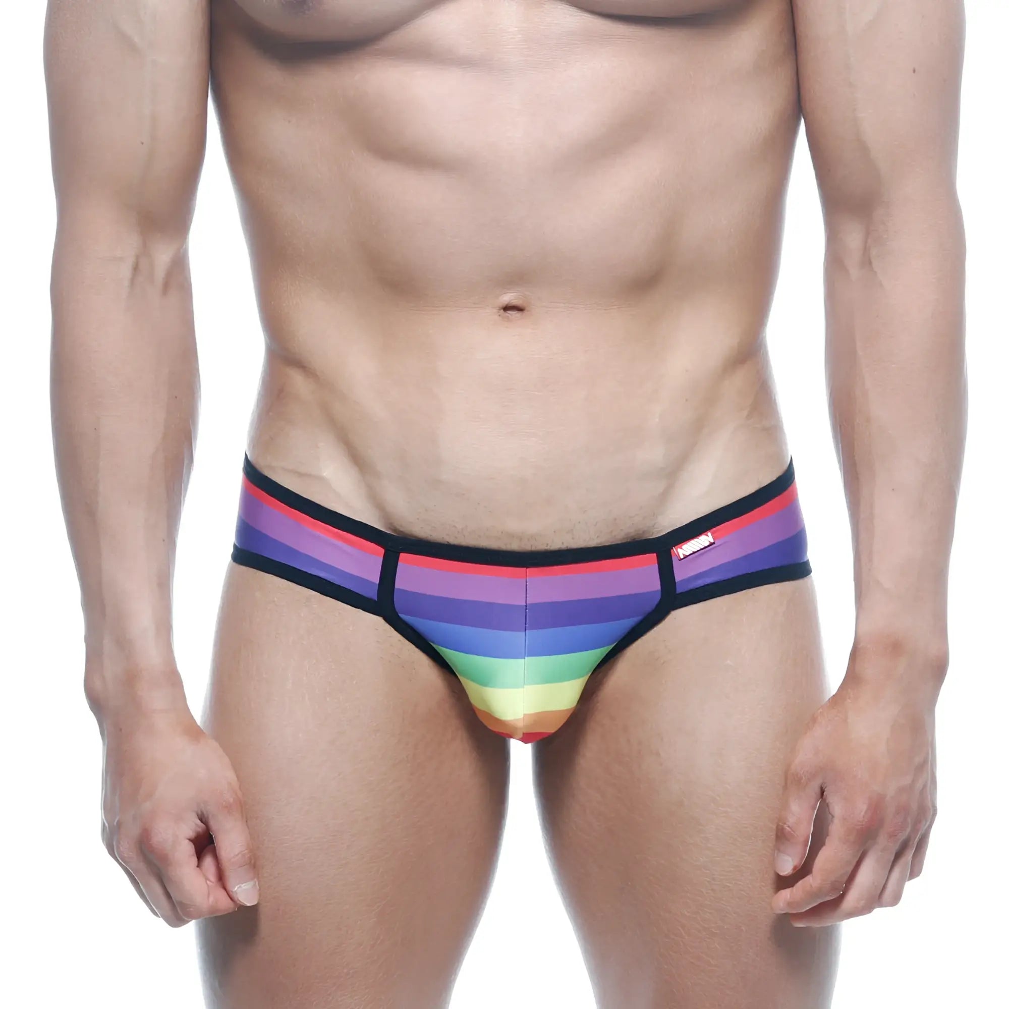MetroMaleWear rainbow bikini 6105-04 rainbow-striped men’s briefs with black trim and small red brand tag