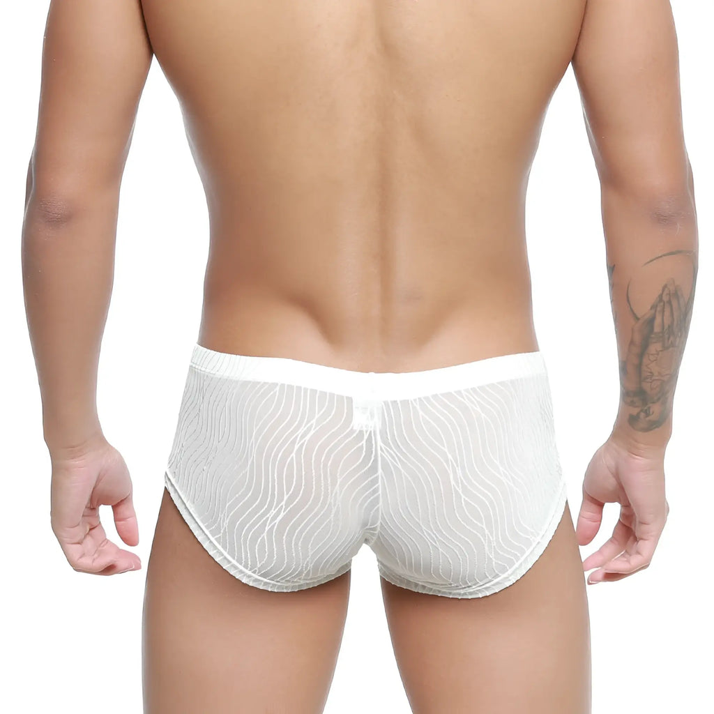 MetroMaleWear Sedosa trunk 2125-32 white sheer mesh briefs with wavy pattern and solid white waistband