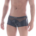 MetroMalewear sheer hip trunk black gloss mesh briefs with sleek form-fitting design and subtle waistband branding