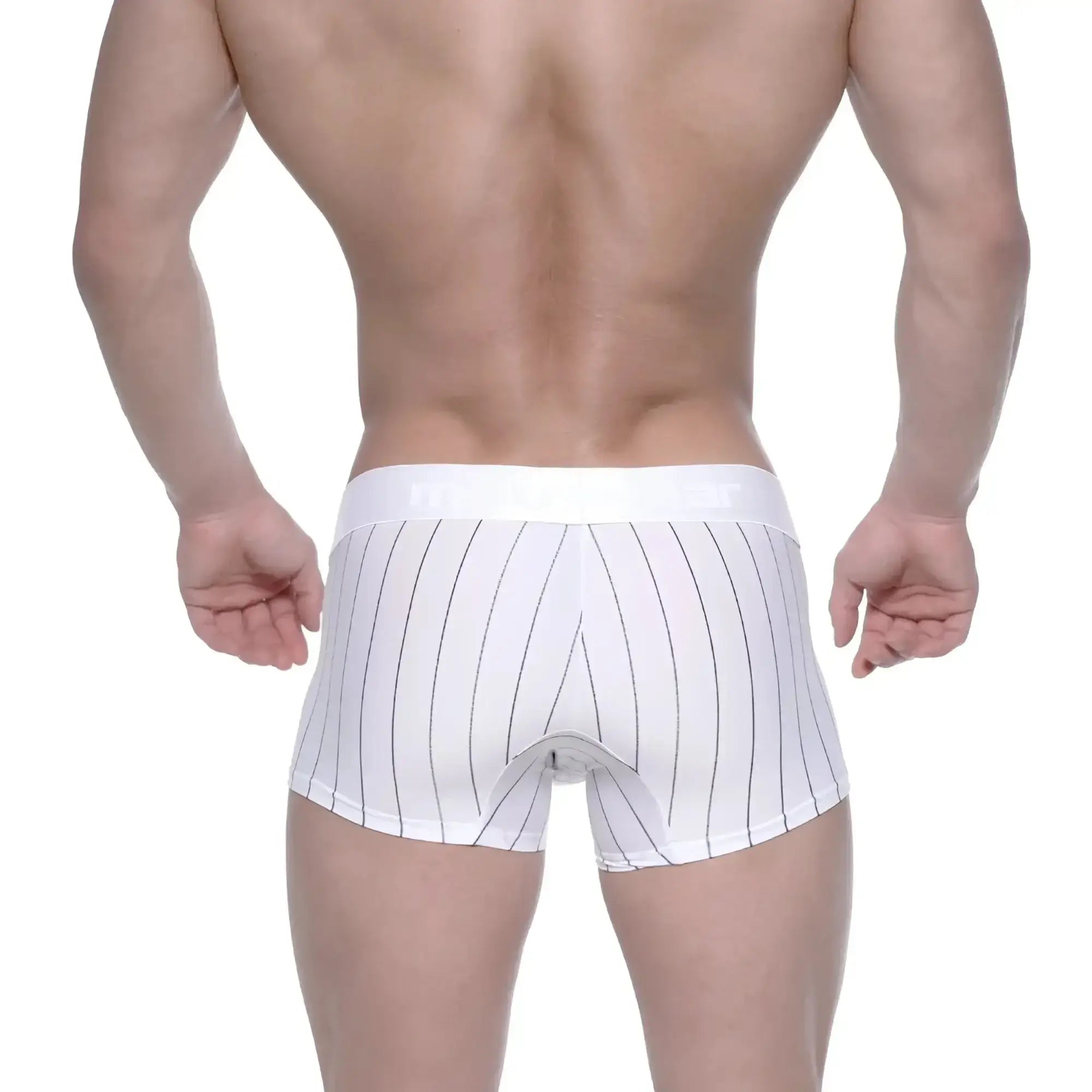 White boxer briefs with thin black vertical stripes and matching waistband metroMalewear short boxer white stripe 7 inch