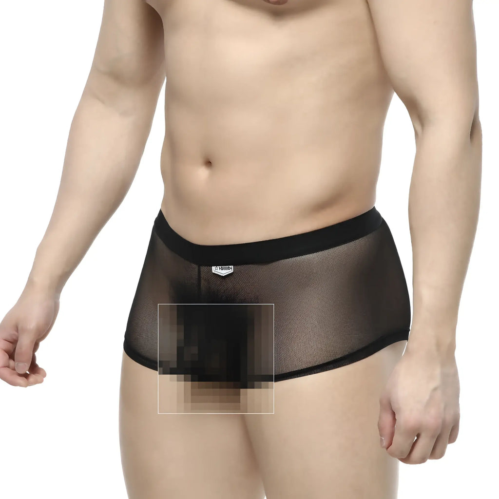 MetroMaleWear simple trunk black 1033-20 black mesh briefs with solid waistband and small front logo