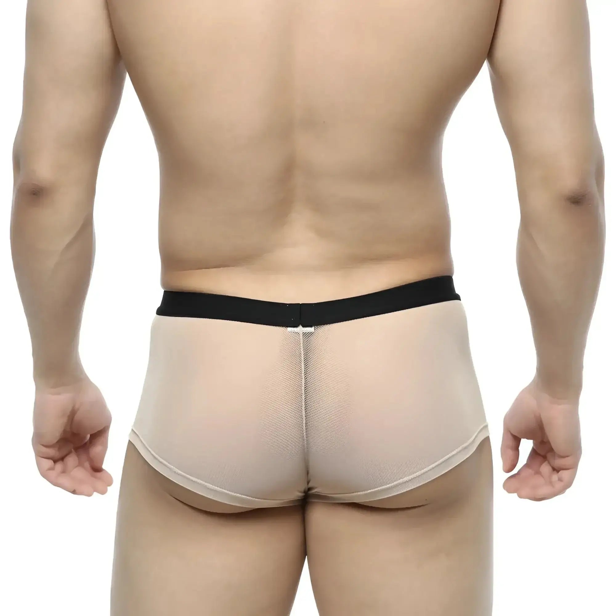 MetroMalewear simple trunk nude 1033-02 beige mesh briefs with black elastic waistband for comfortable wear