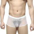 MetroMaleWear simple trunk white mesh briefs with solid white waistband and trim front view