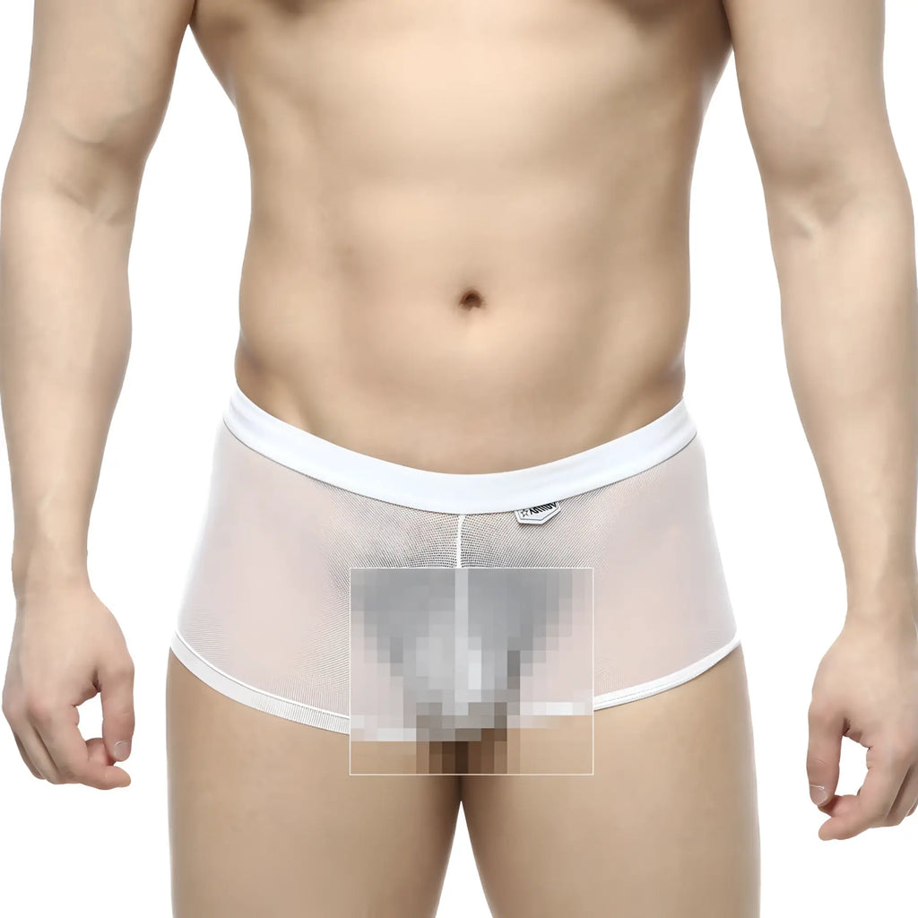 MetroMaleWear simple trunk white mesh briefs with solid white waistband and trim front view