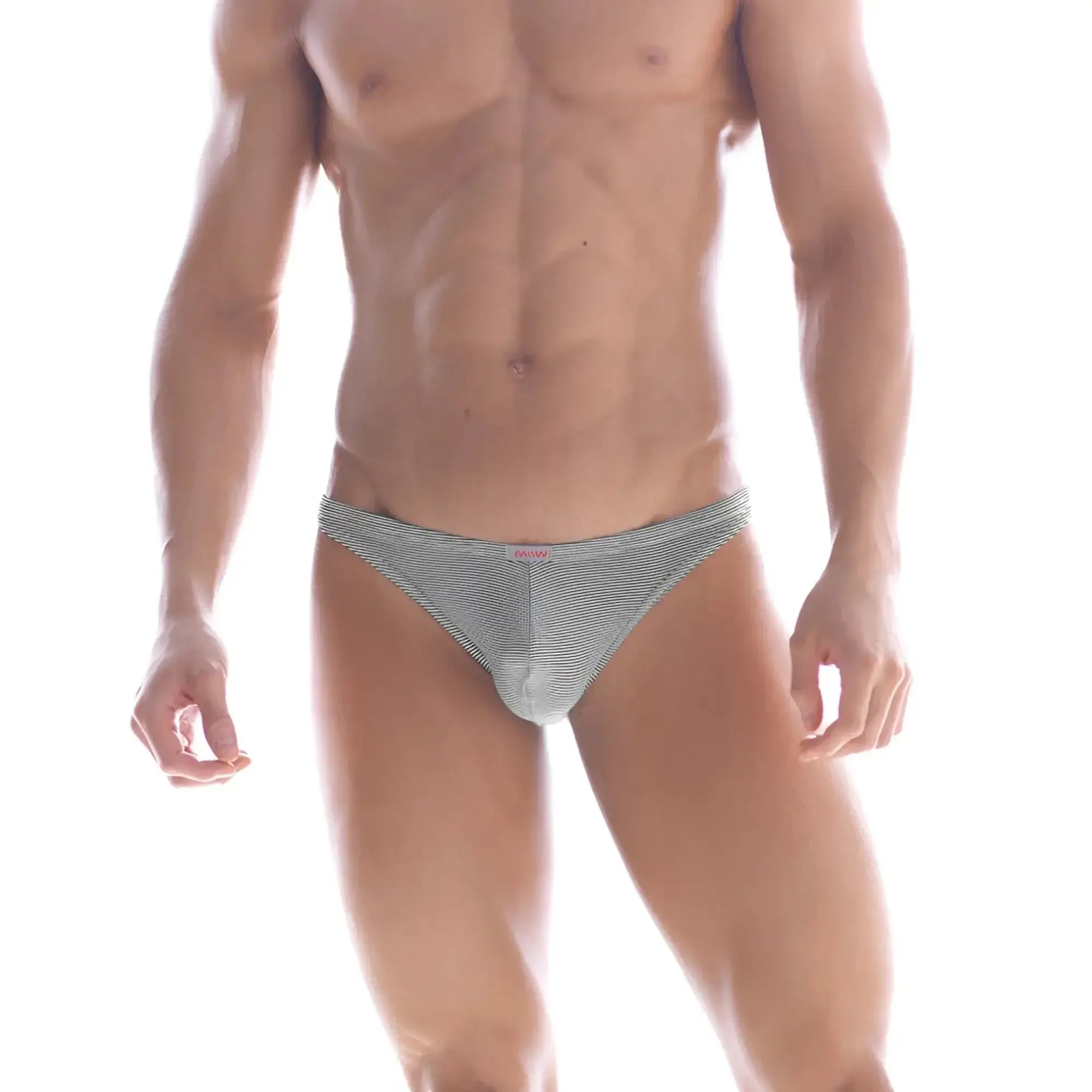 MetroMaleWear sunbathing bikini black stripe gray and white striped men’s briefs with snug form-fitting design