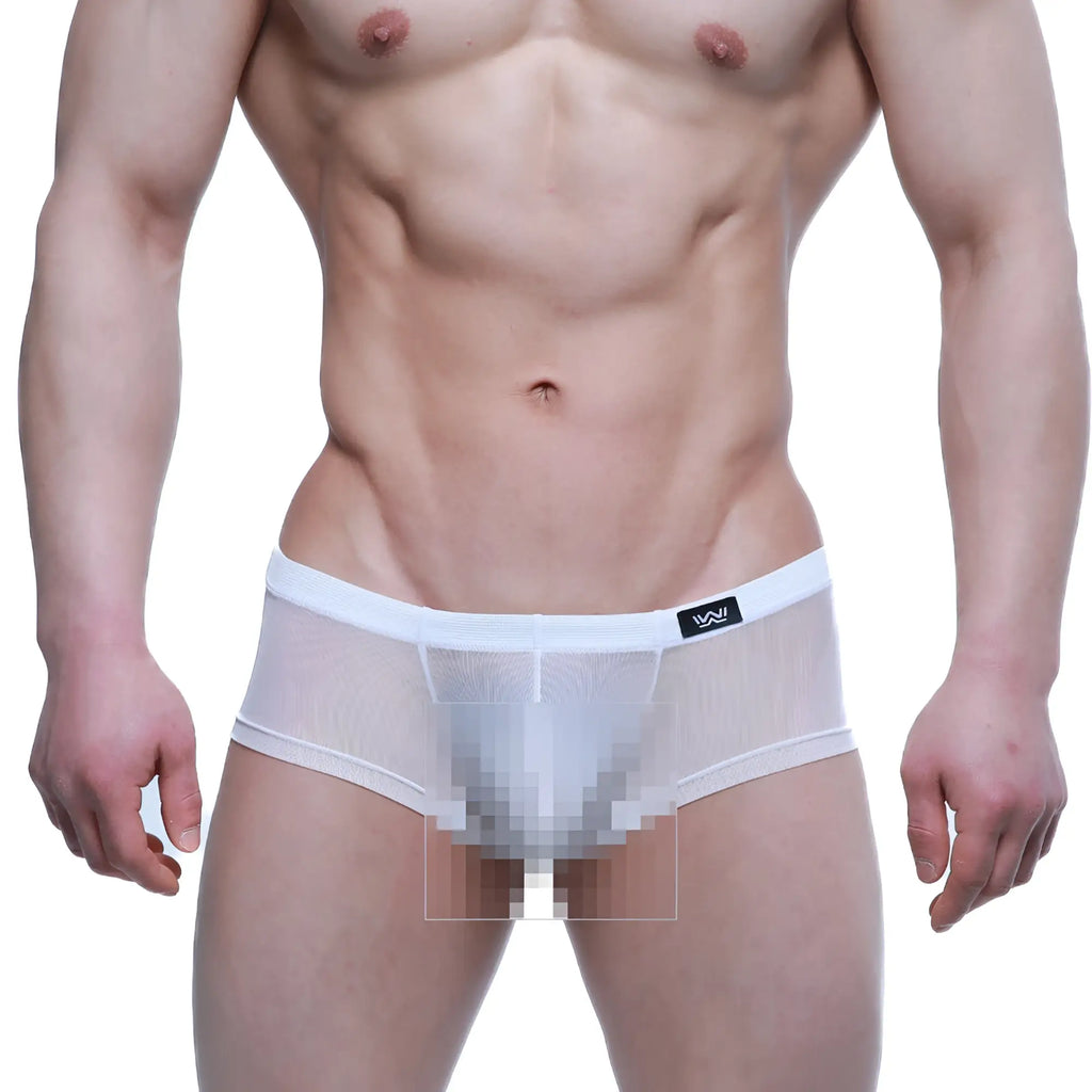 MetroMaleWear Tull Blanco trunk 2125-68 white mesh briefs with solid white waistband and black logo on left side