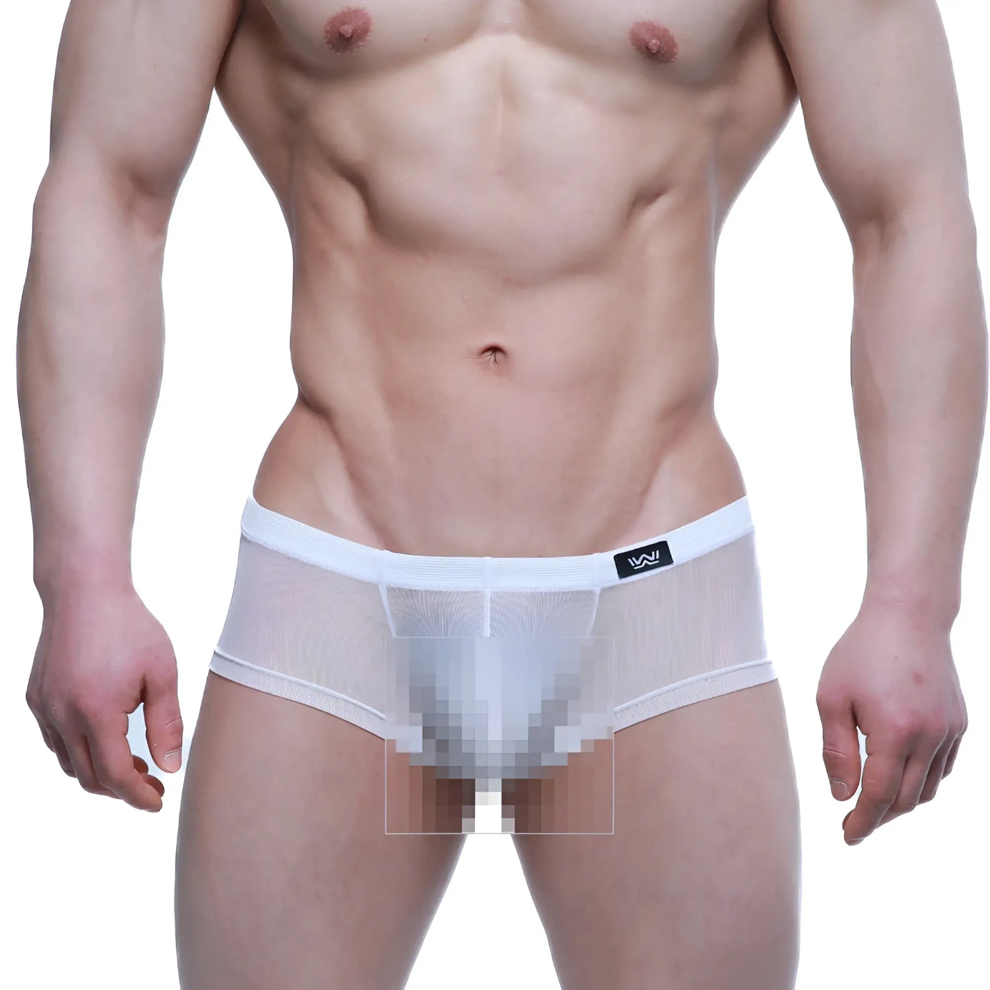MetroMaleWear Tull Blanco trunk 2125-68 white mesh briefs with solid white waistband and black logo on left side
