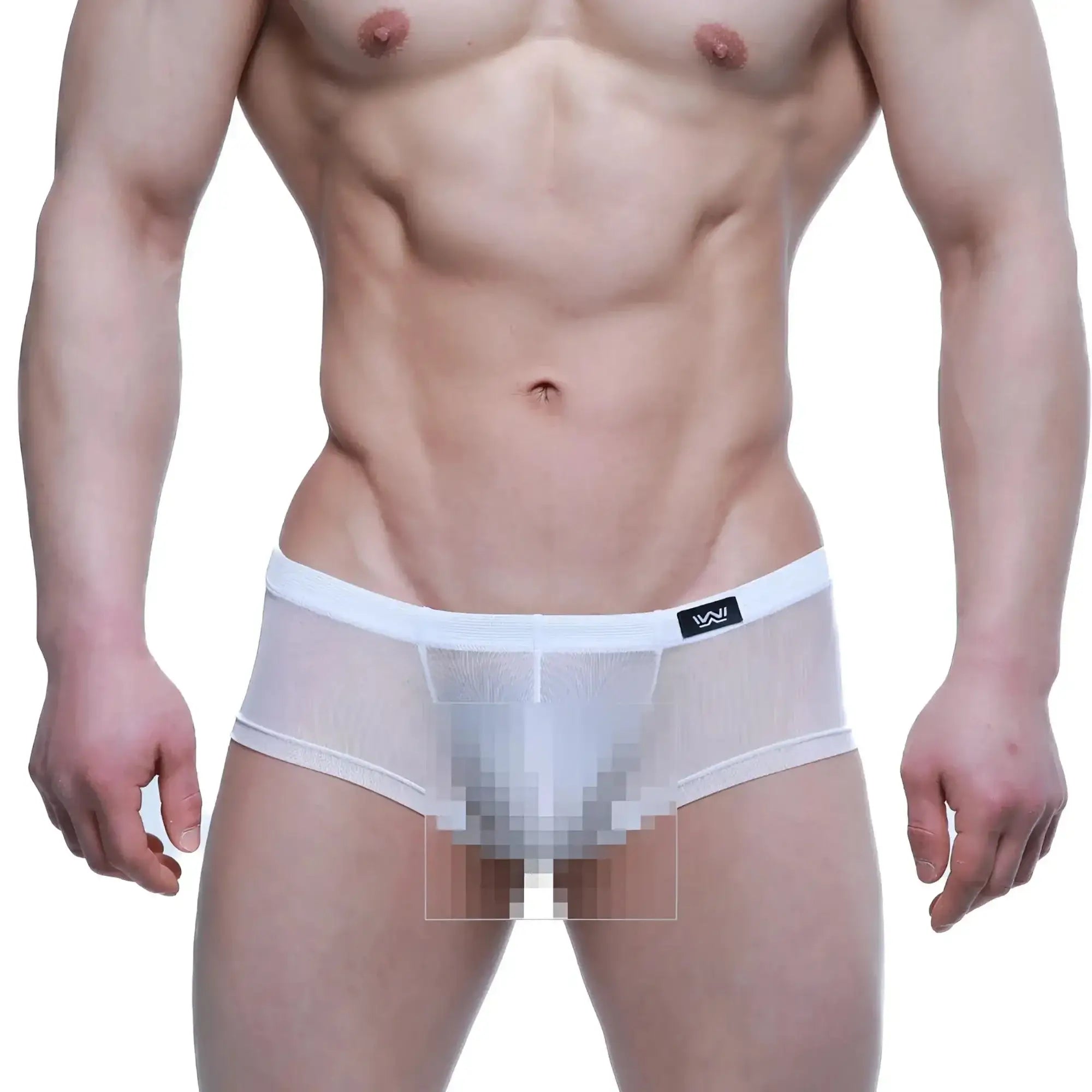 MetroMaleWear Tull Blanco trunk 2125-68 white mesh briefs with solid white waistband and black logo on left side
