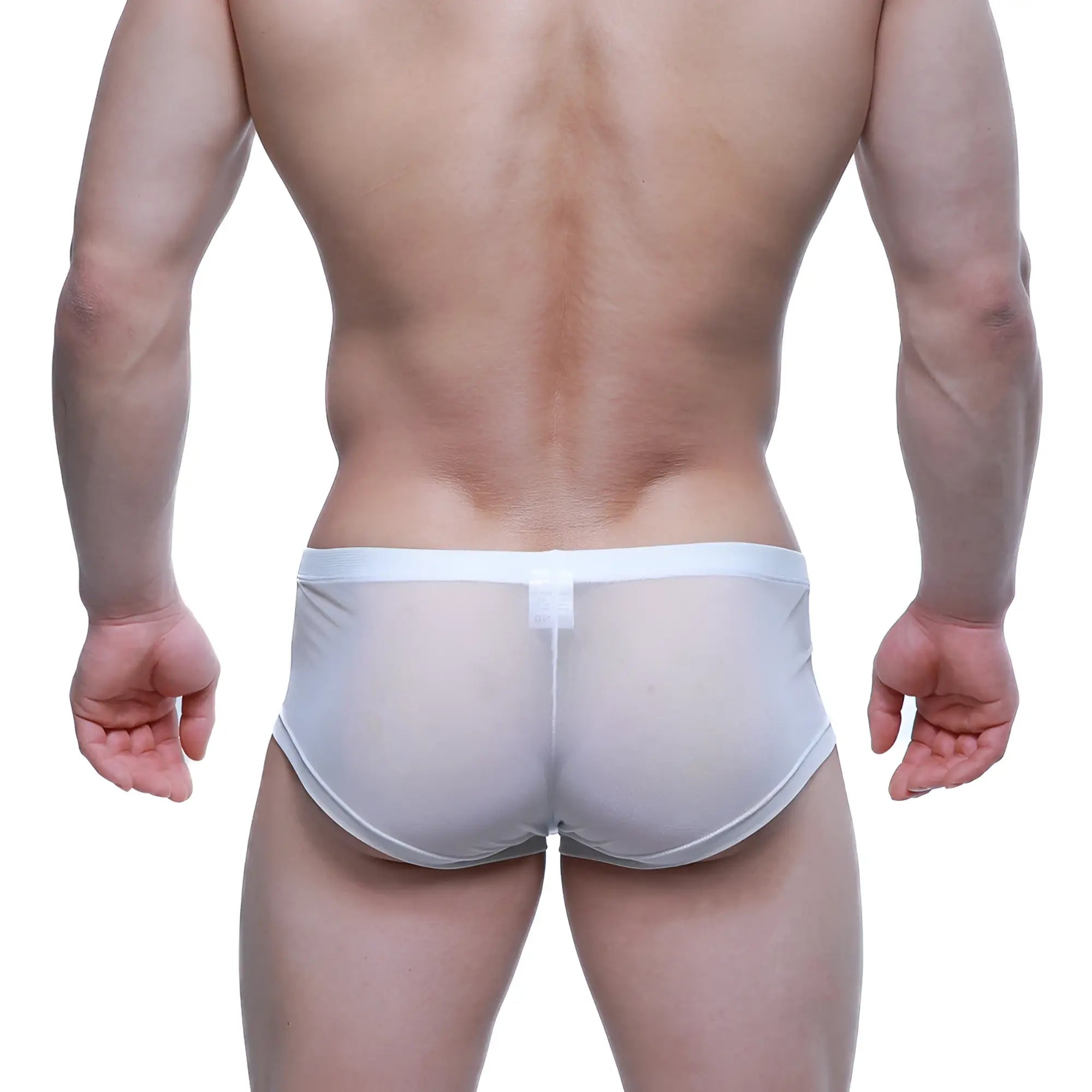 Metro malewear tull blanco trunk 2125-68 white sheer mesh briefs with solid white waistband front view
