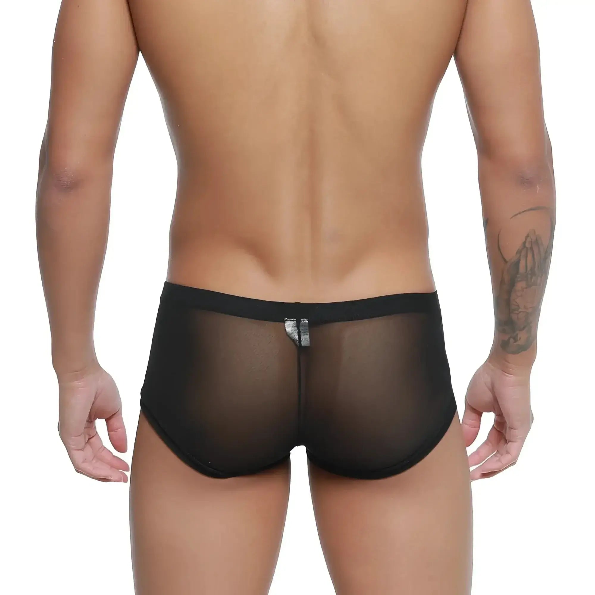 Metro male wear tull negro trunk black sheer mesh briefs with solid black waistband front view