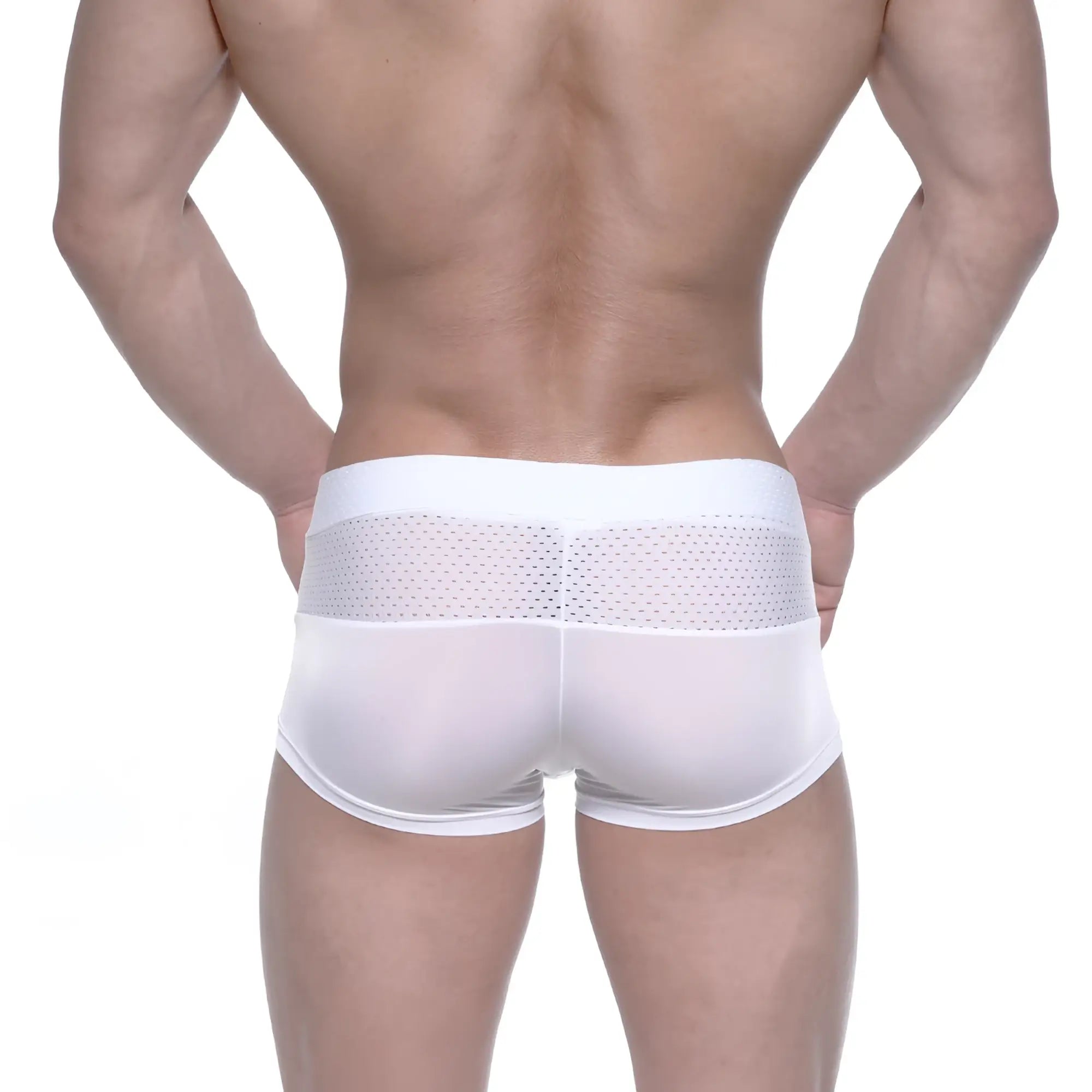White athletic briefs with mesh back panel by metromalewear noto trunk for breathable comfort